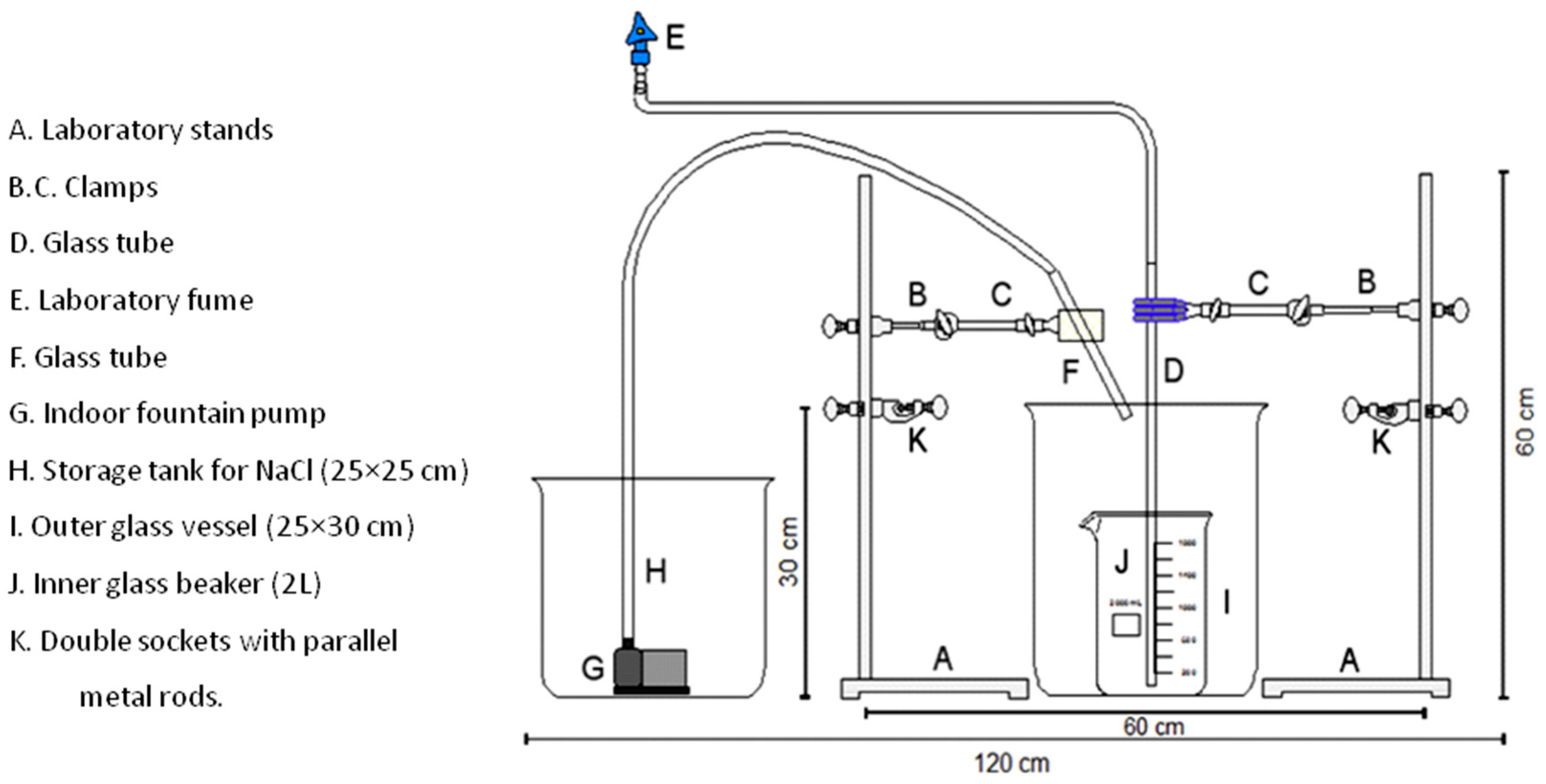 Molecules 25 03954 g008