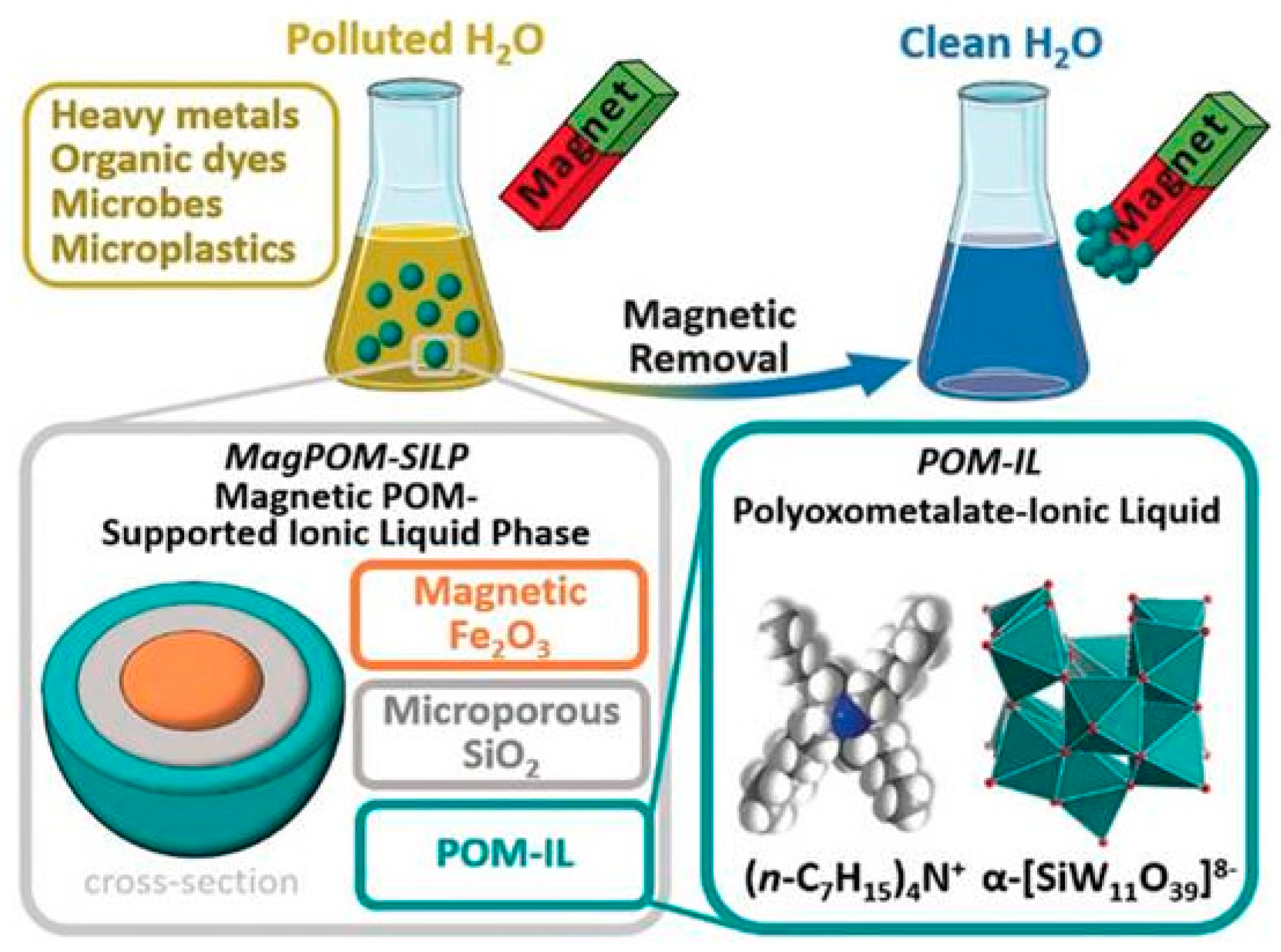 Molecules 25 03954 g009