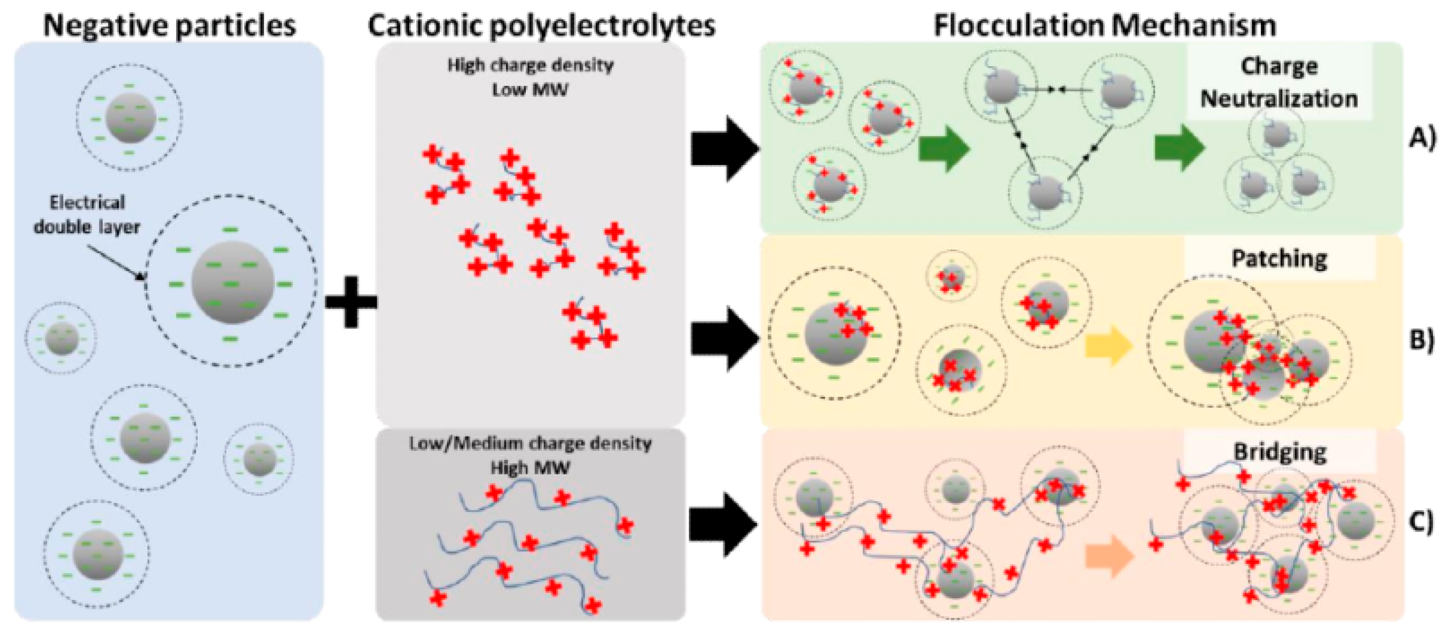 Molecules 25 03954 g010