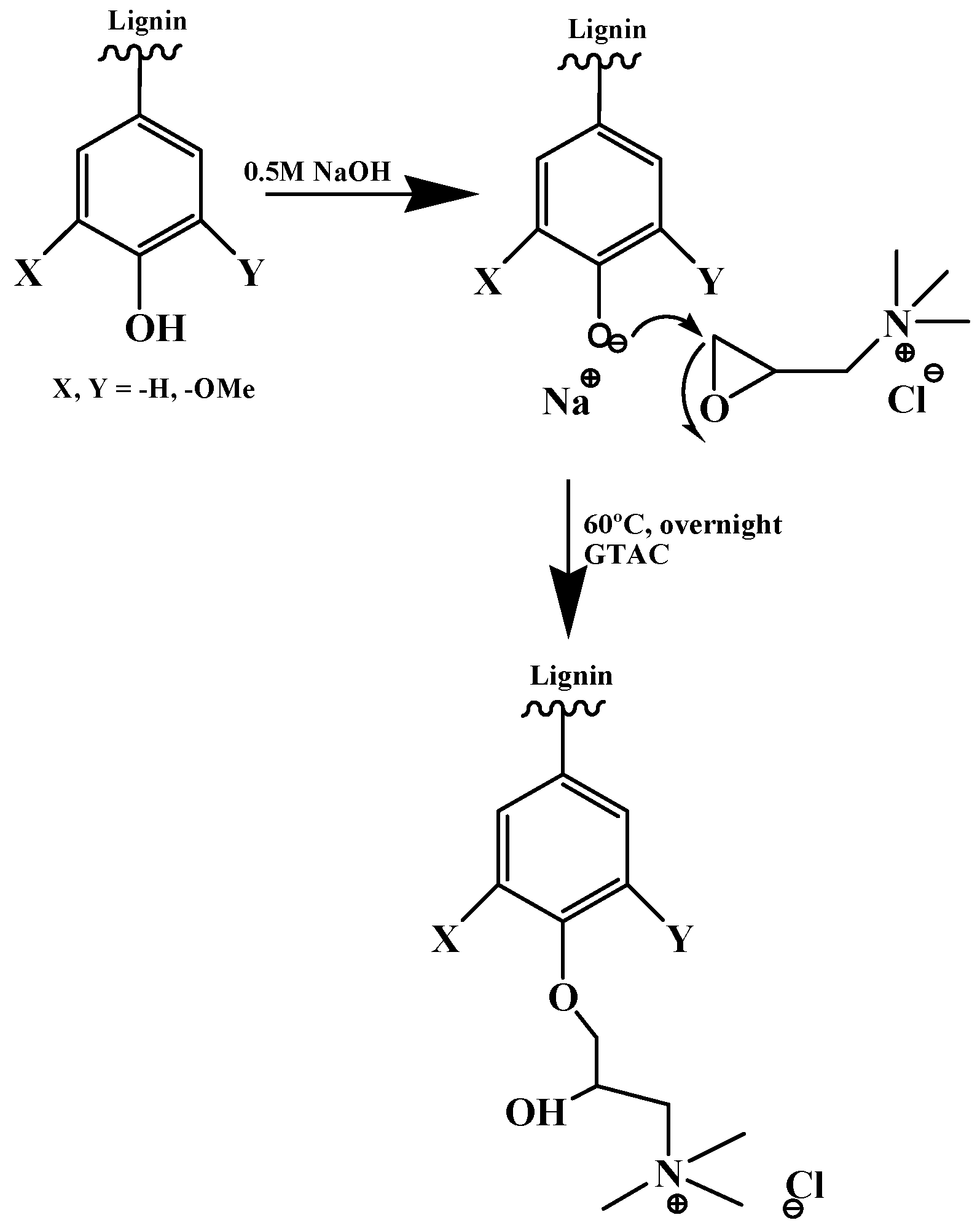 Molecules 25 03954 g013