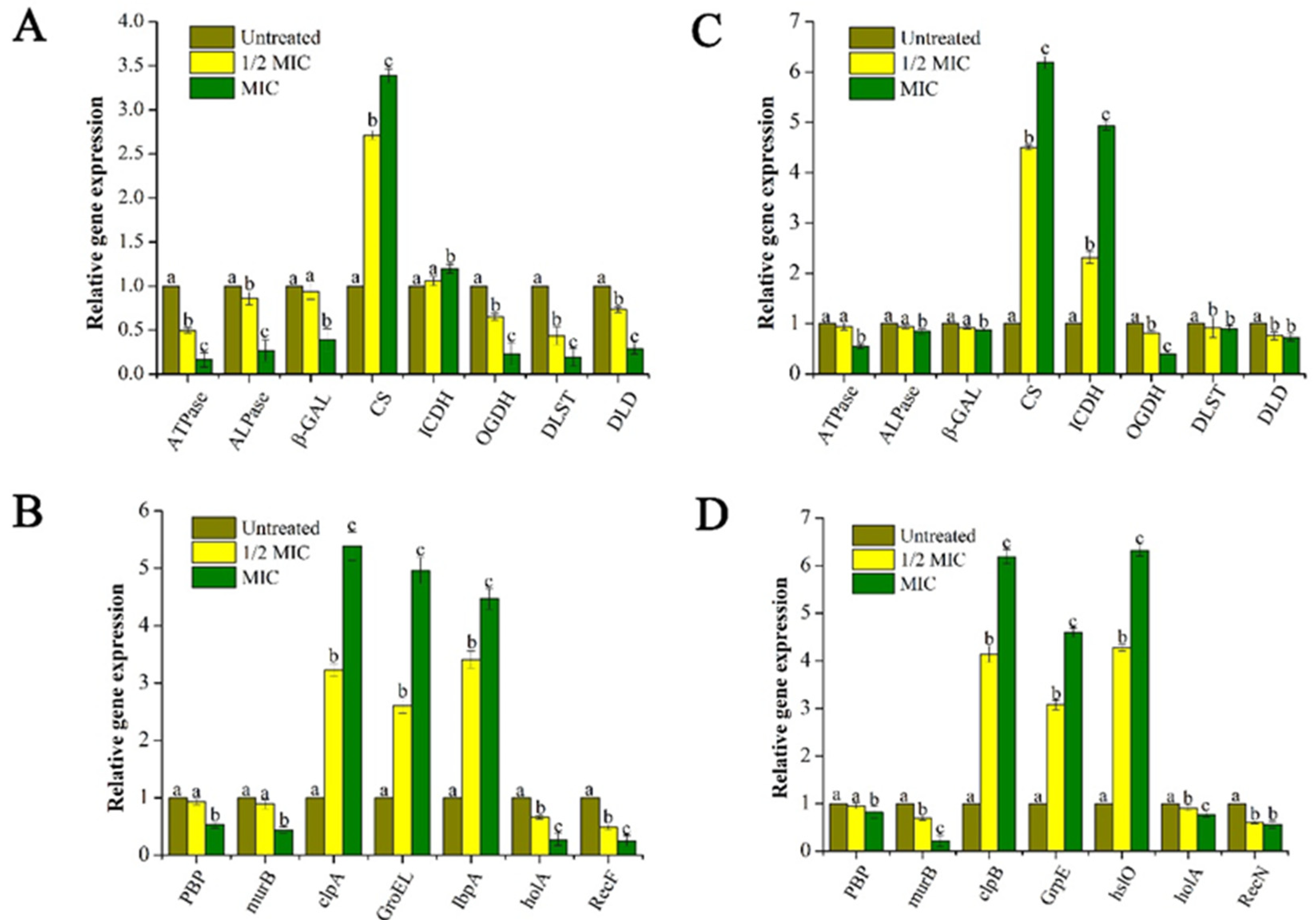 Molecules 25 03955 g007 Molecules 25 03955 g007