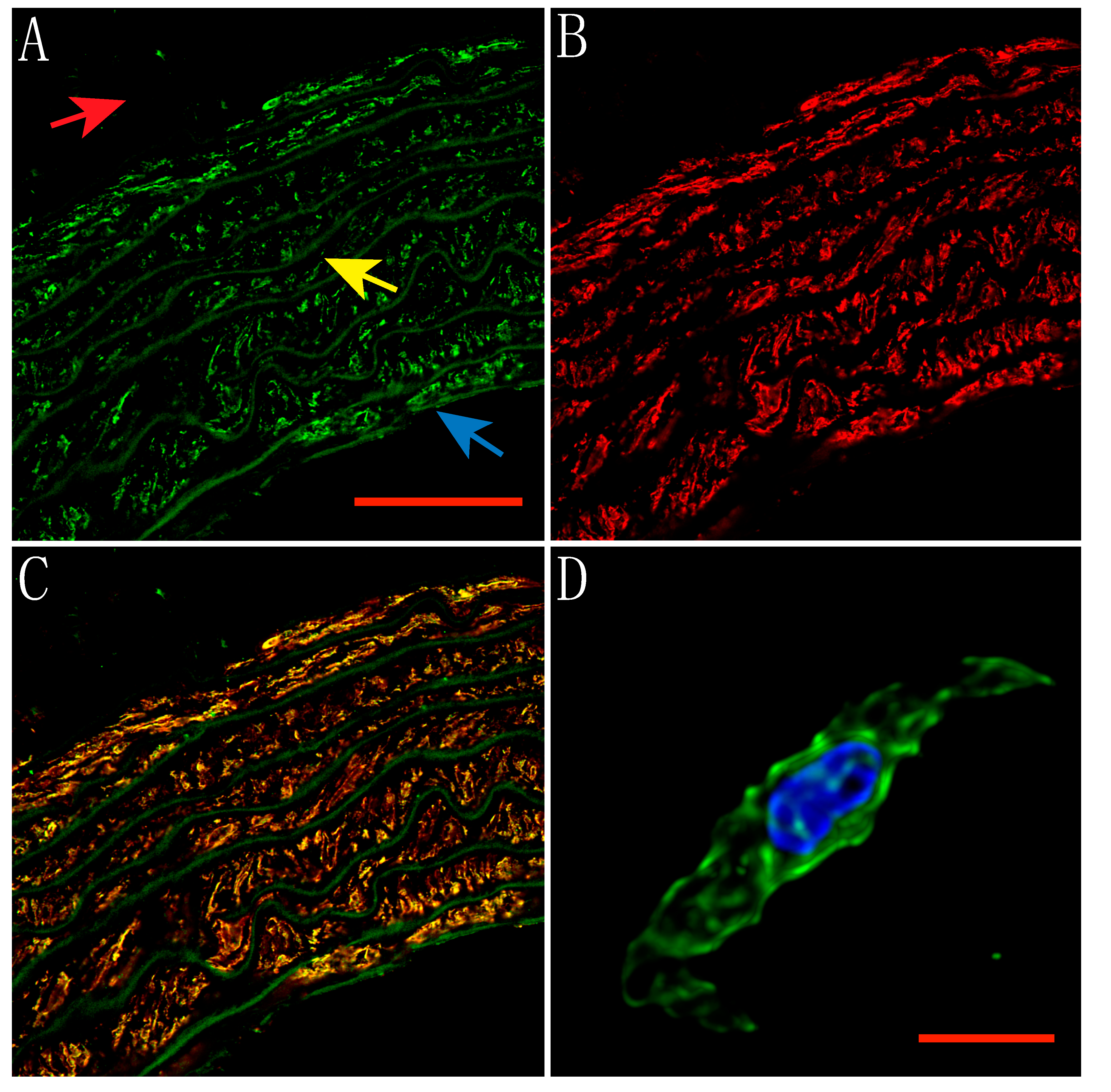 Molecules 25 03957 g001 Molecules 25 03957 g001