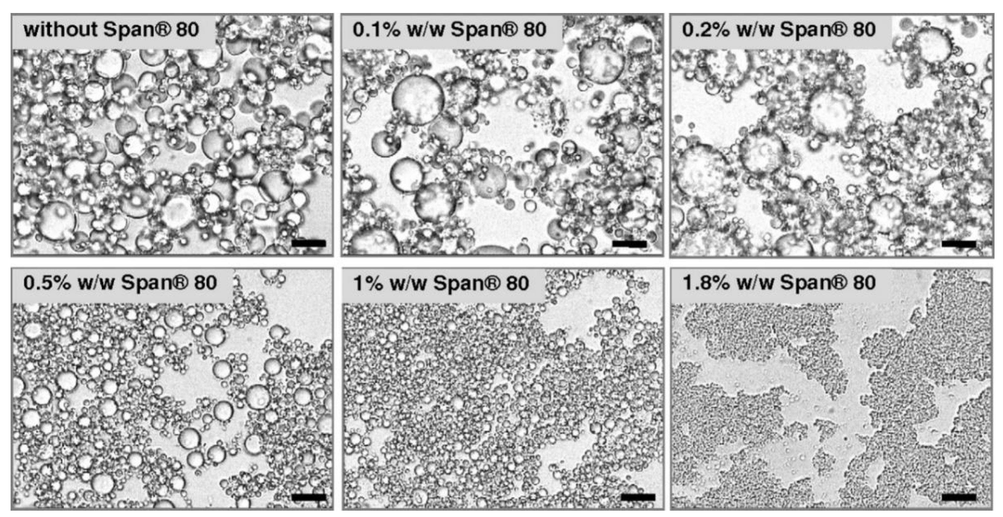 Molecules 25 03966 g004