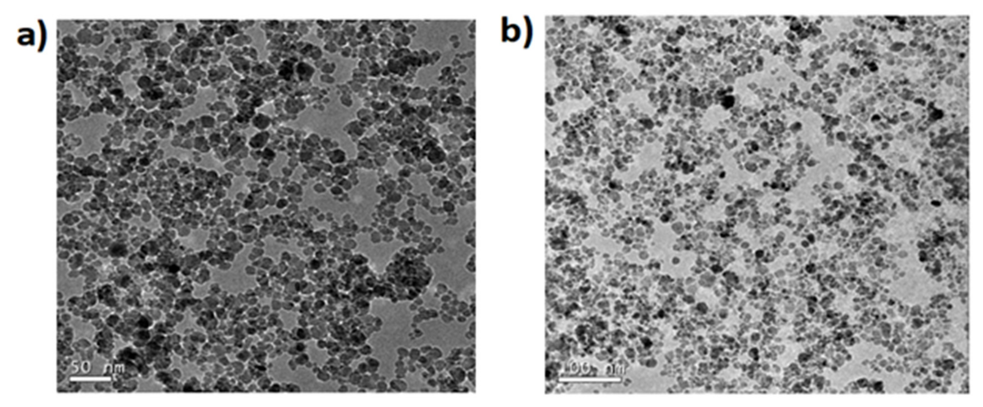 Molecules 25 03968 g002