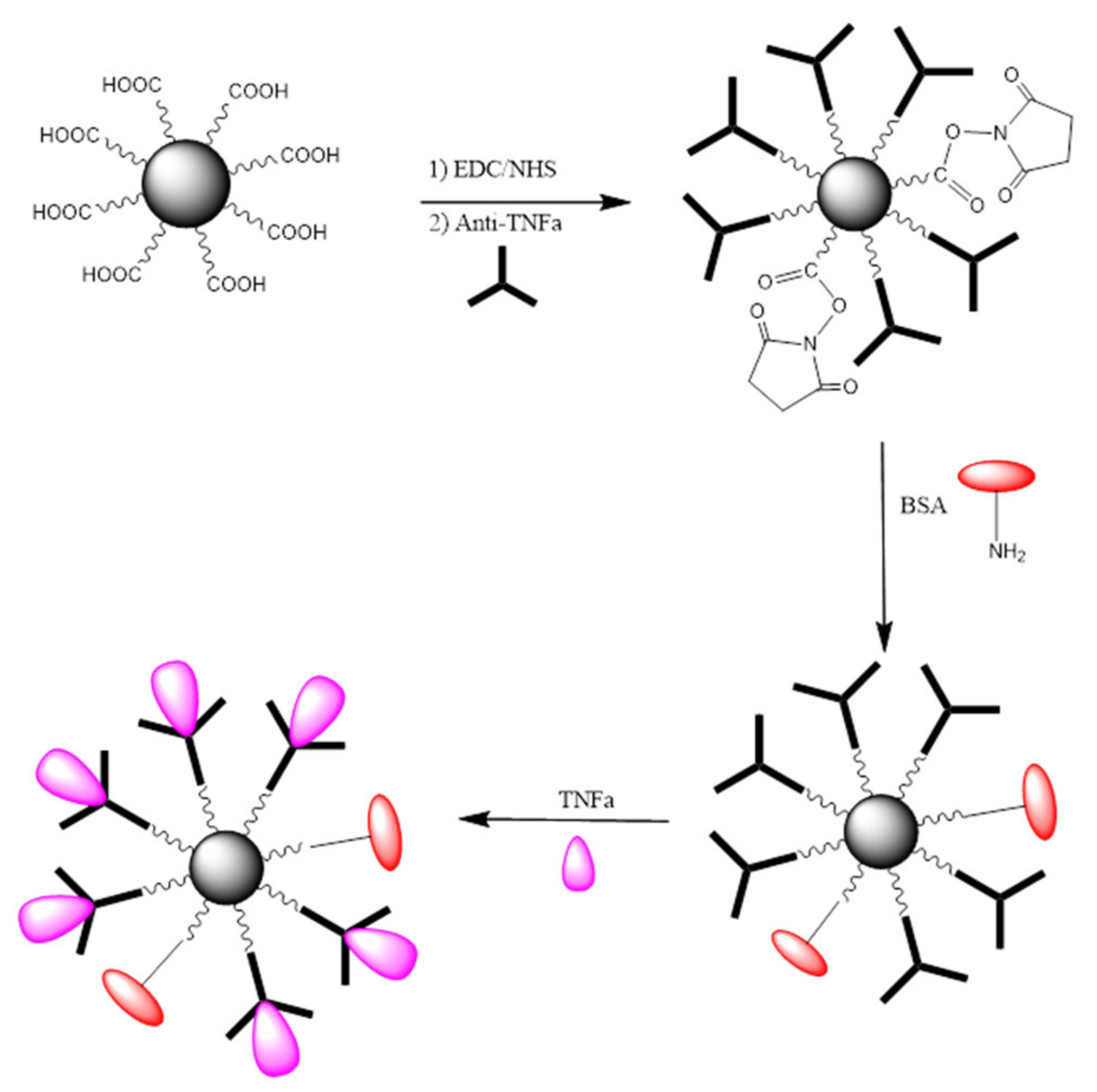 Molecules 25 03968 g005