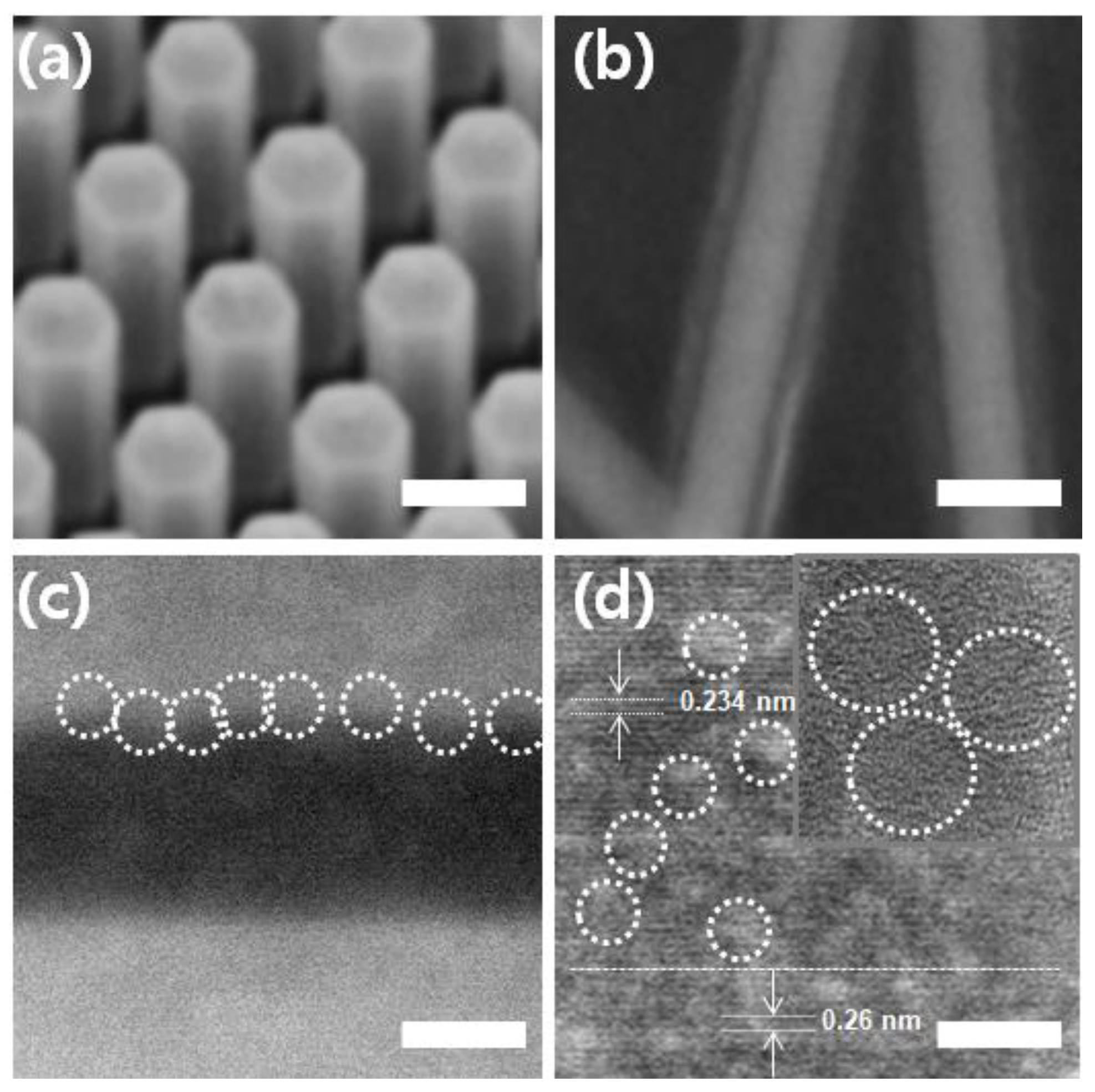 Molecules 25 03969 g001 Molecules 25 03969 g001