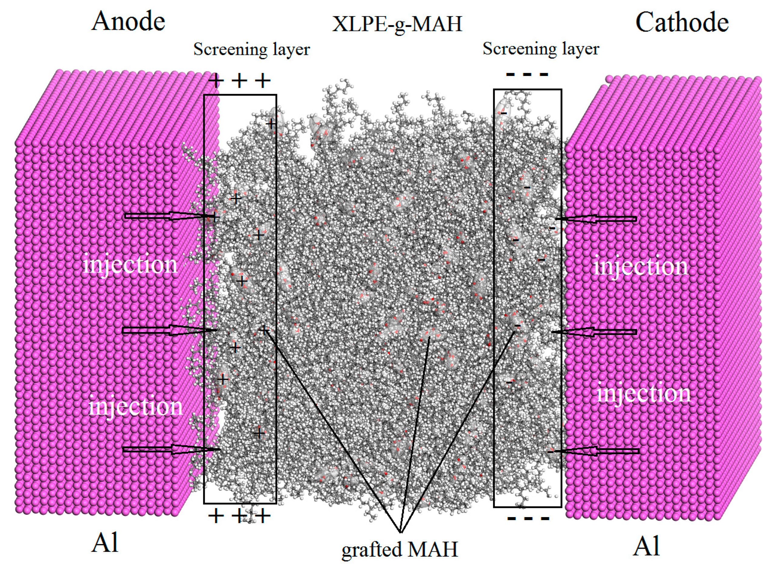 Molecules 25 03973 g006