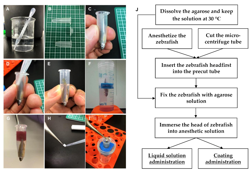 Molecules 25 03974 g004 Molecules 25 03974 g004