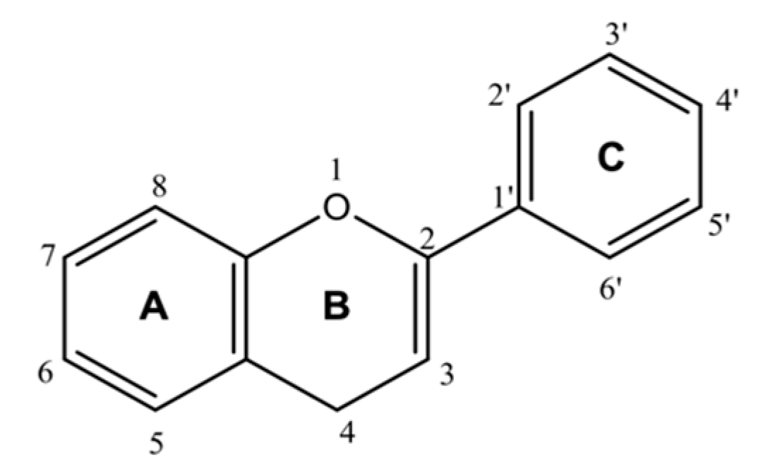 Molecules 25 03980 g005 Molecules 25 03980 g005