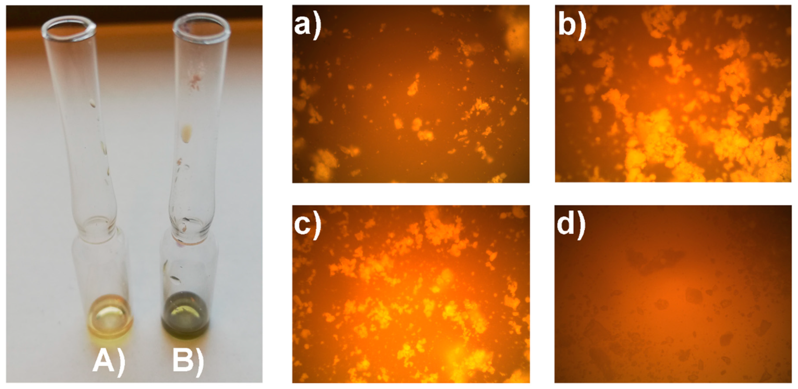 Molecules 25 03983 g001