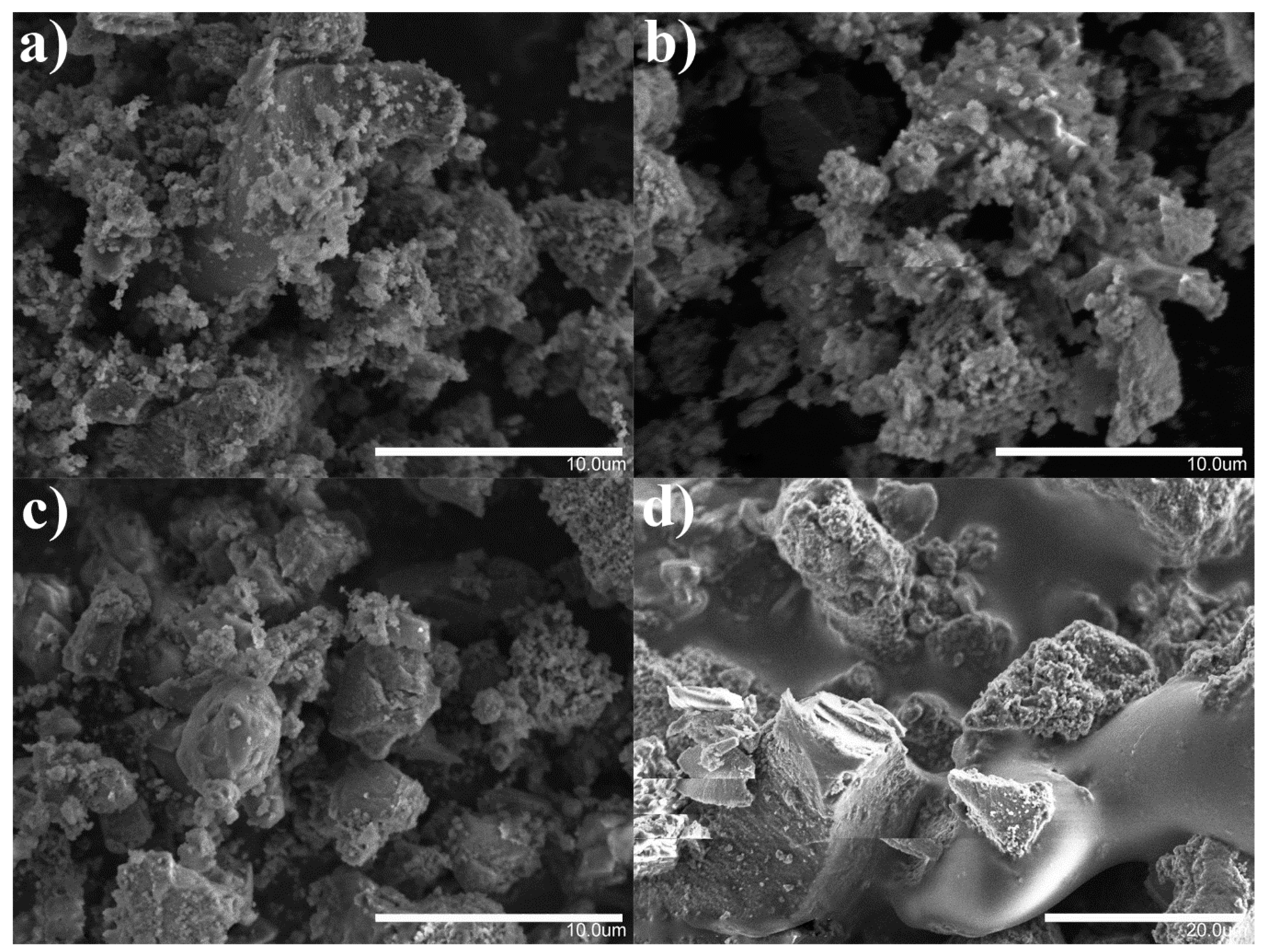 Molecules 25 03983 g002