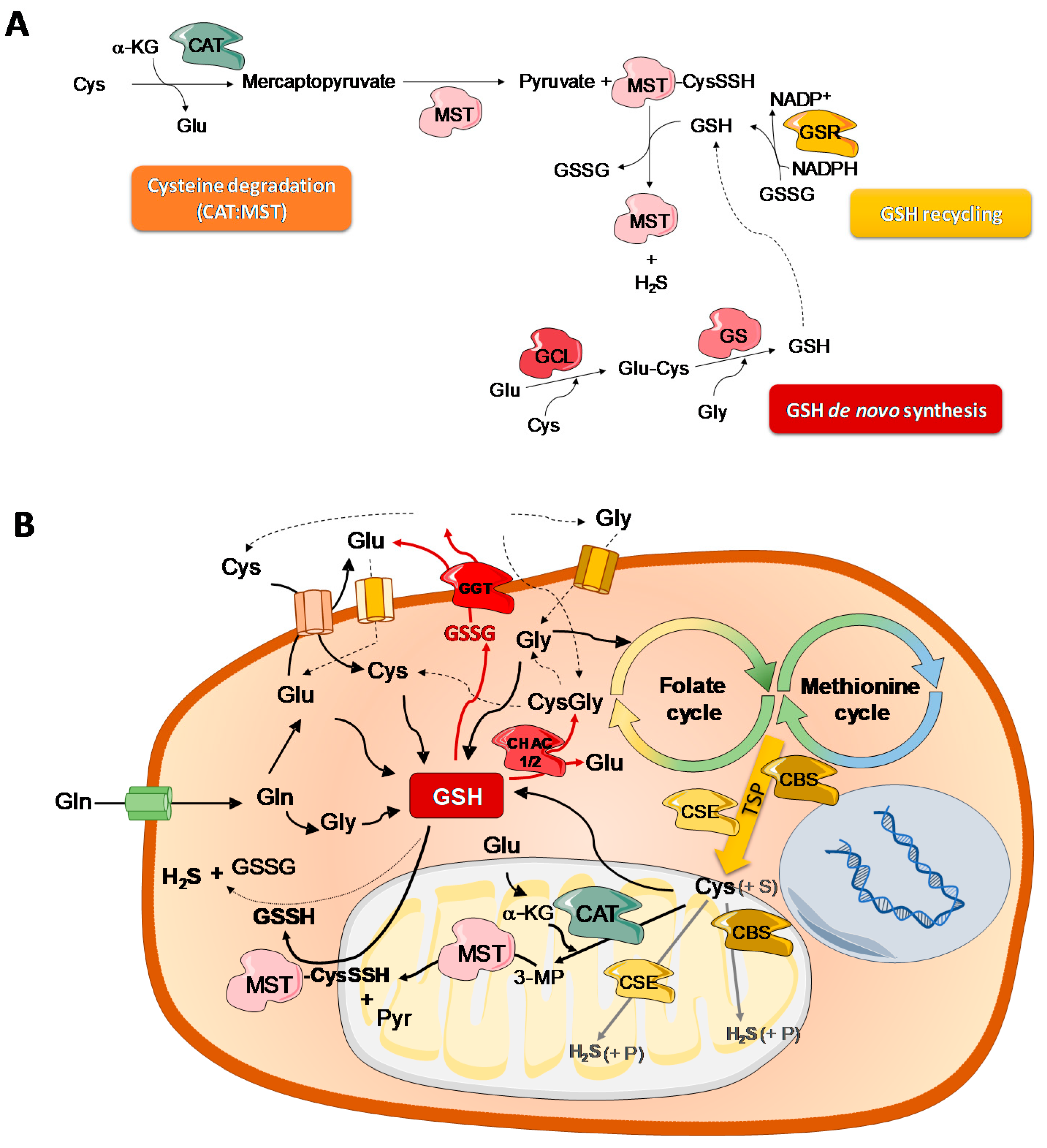 Molecules 25 03984 g003 Molecules 25 03984 g003