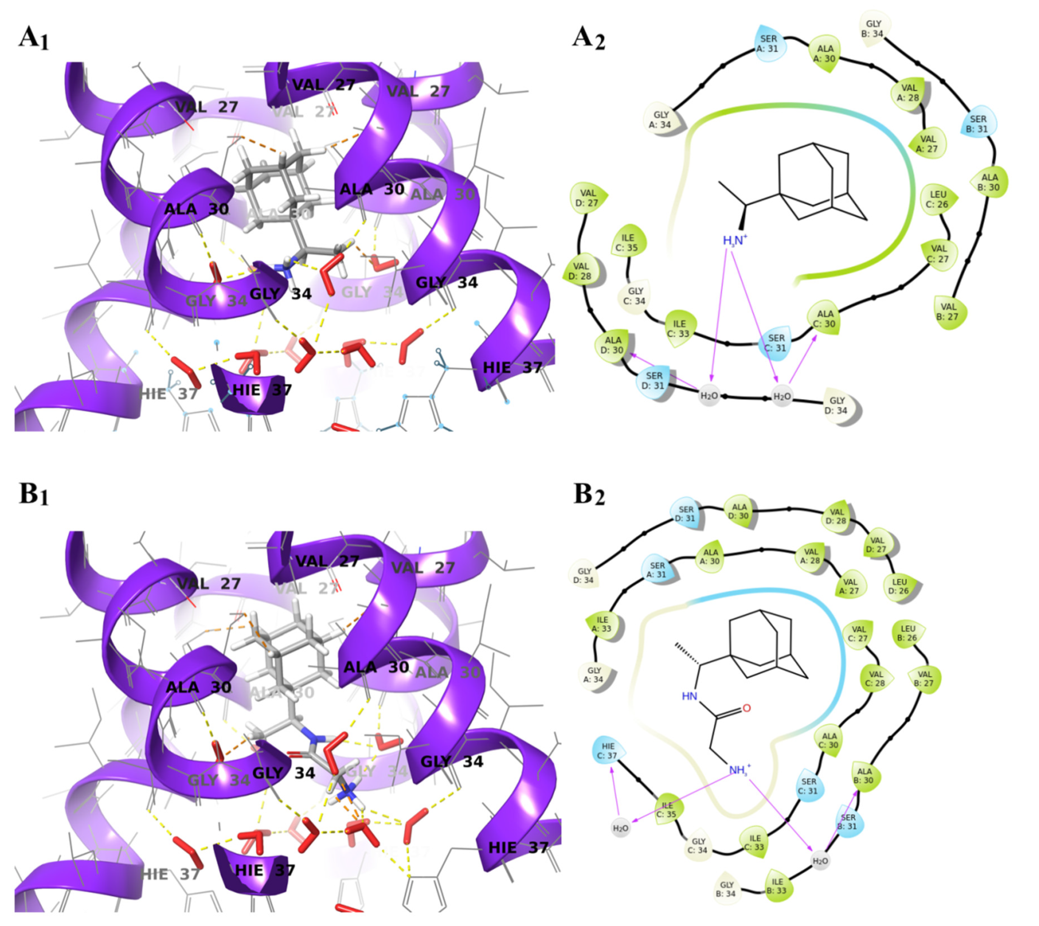 Molecules 25 03989 g005