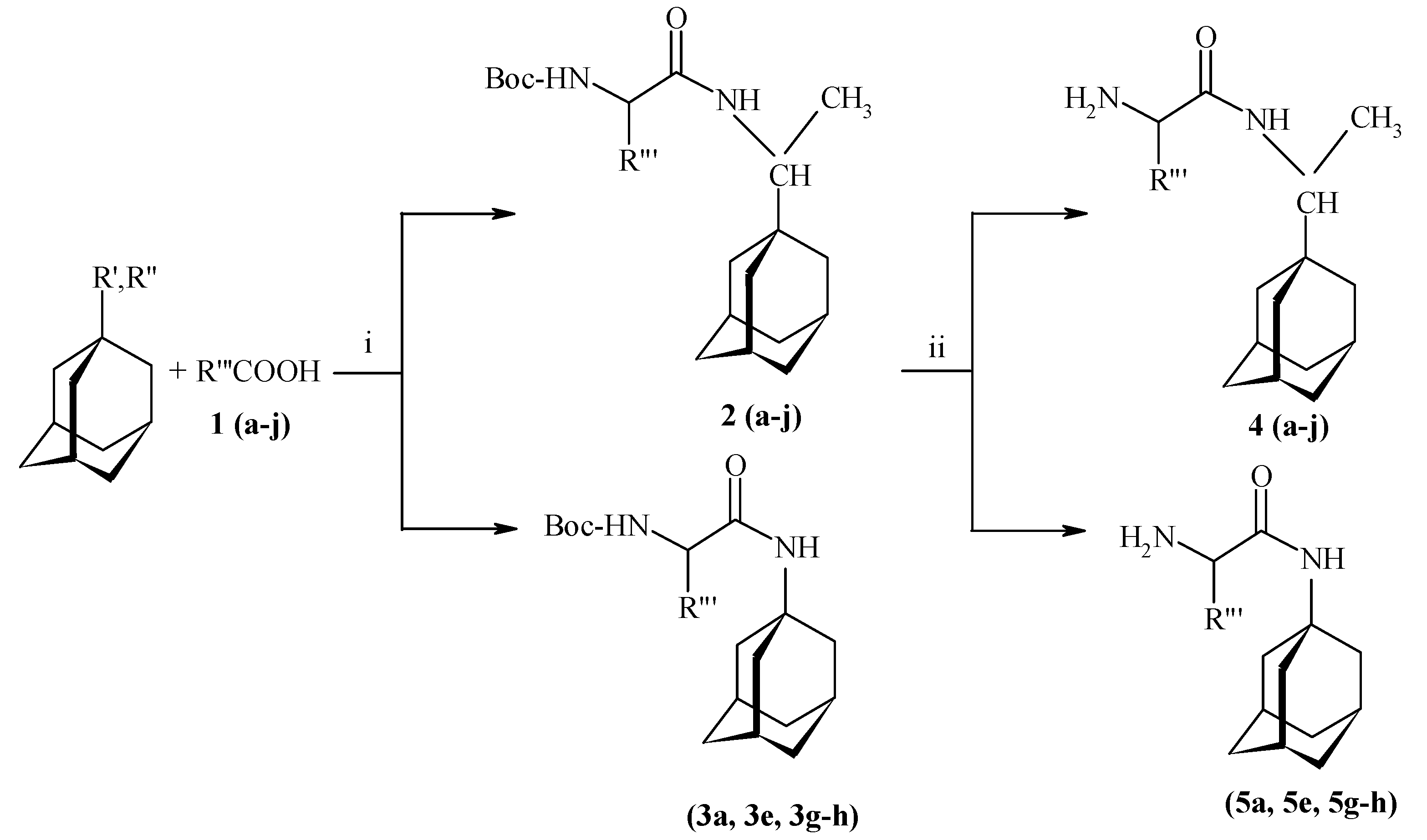 Molecules 25 03989 sch001