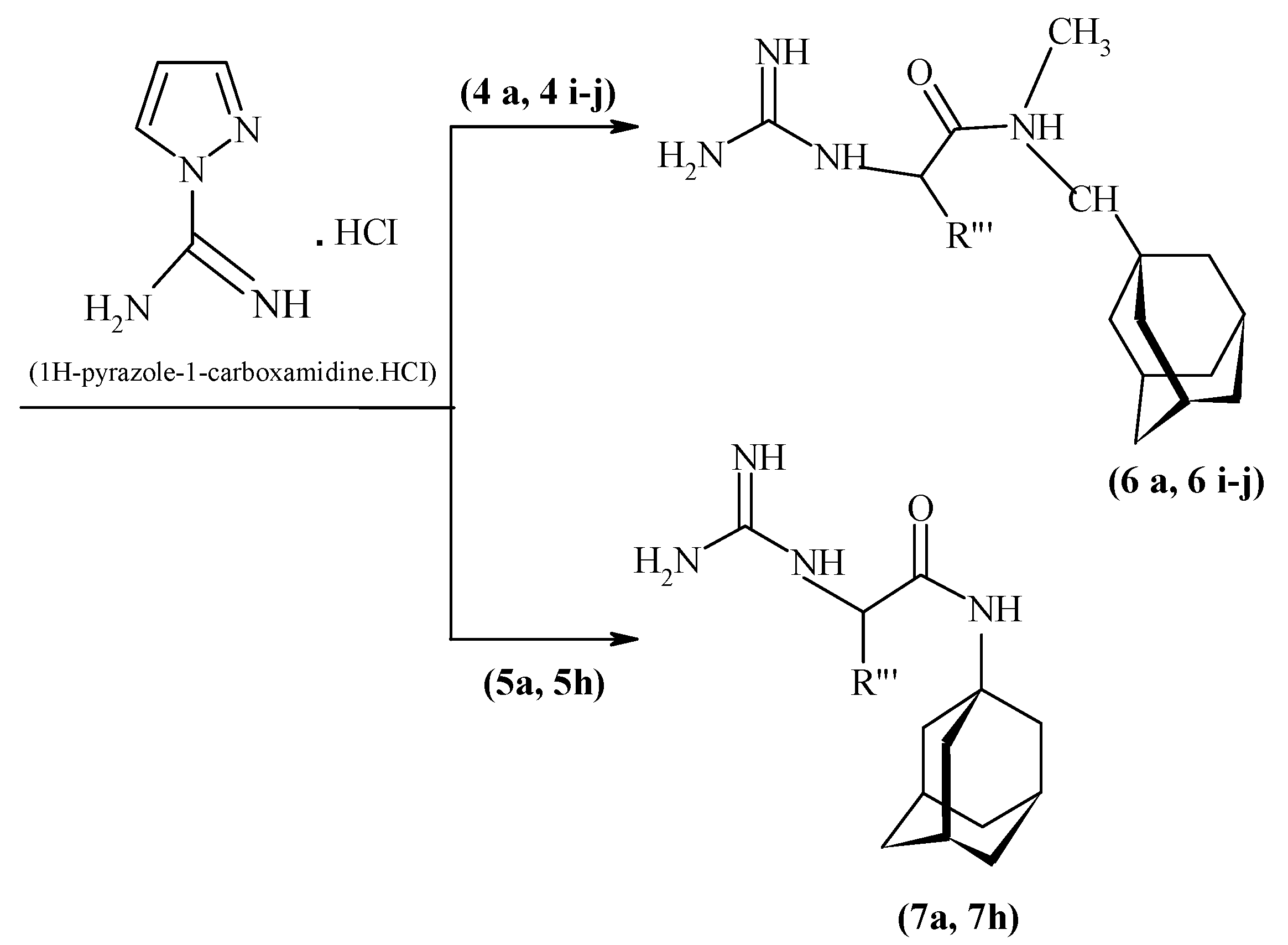 Molecules 25 03989 sch002