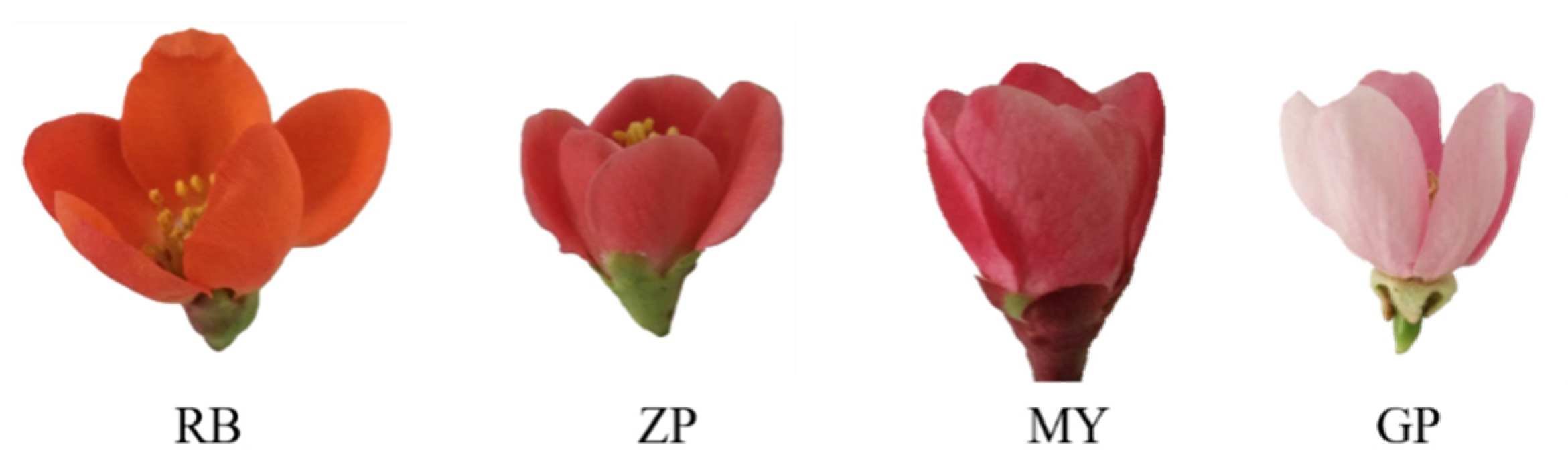 Molecules 25 03994 g001 Molecules 25 03994 g001