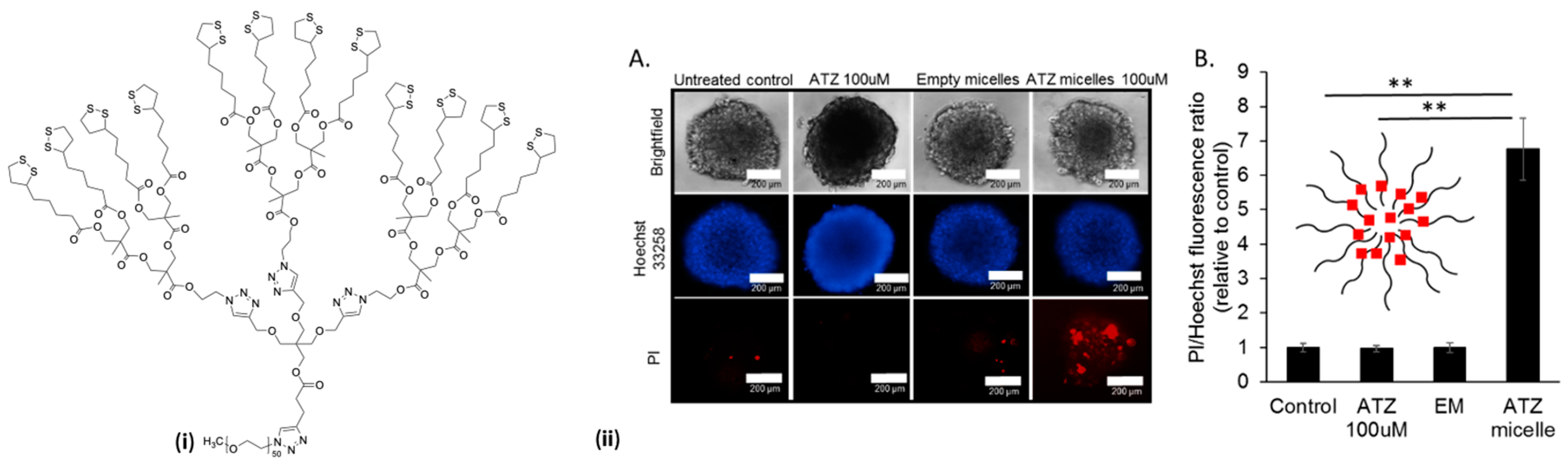 Molecules 25 03995 g005