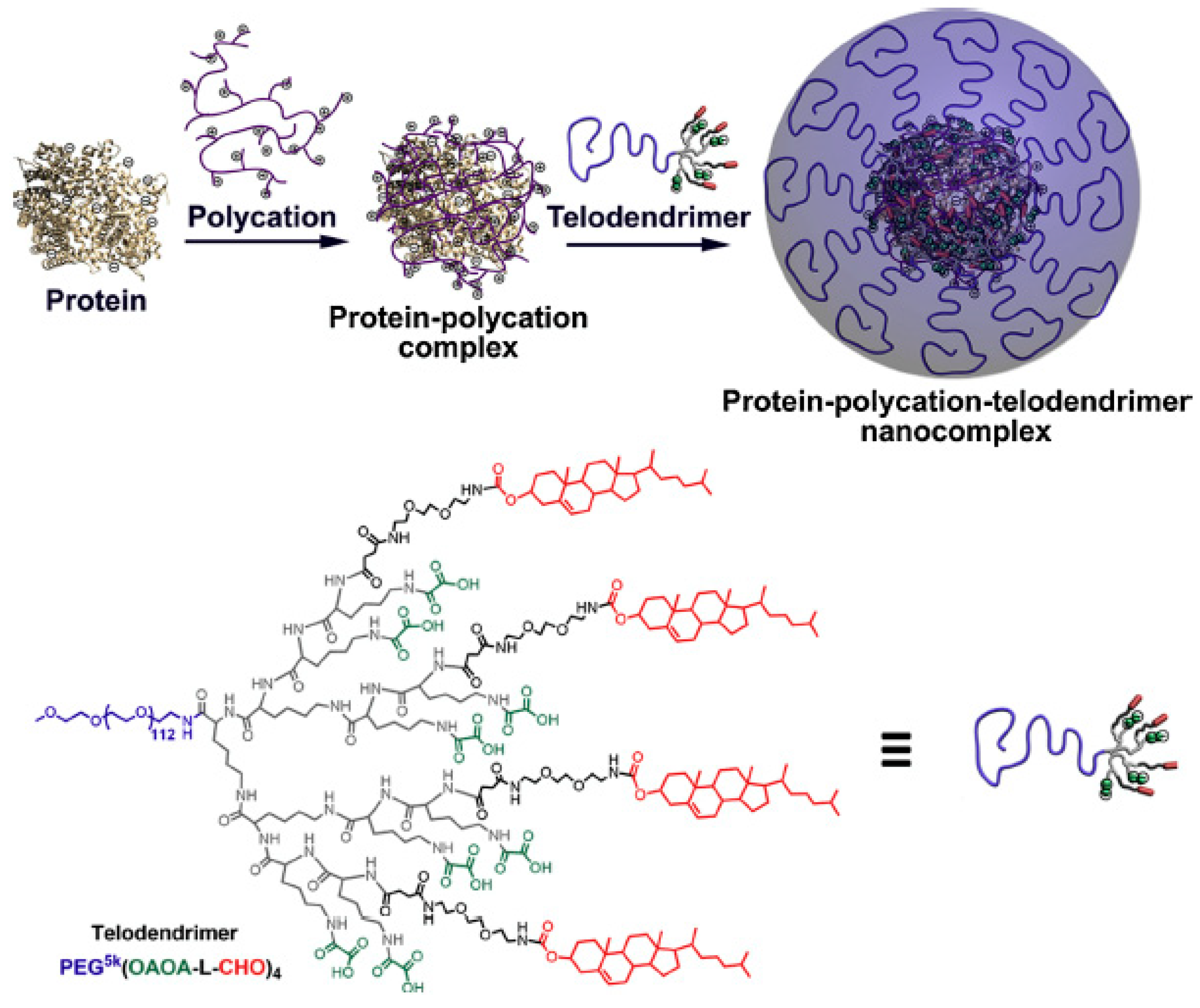 Molecules 25 03995 g006