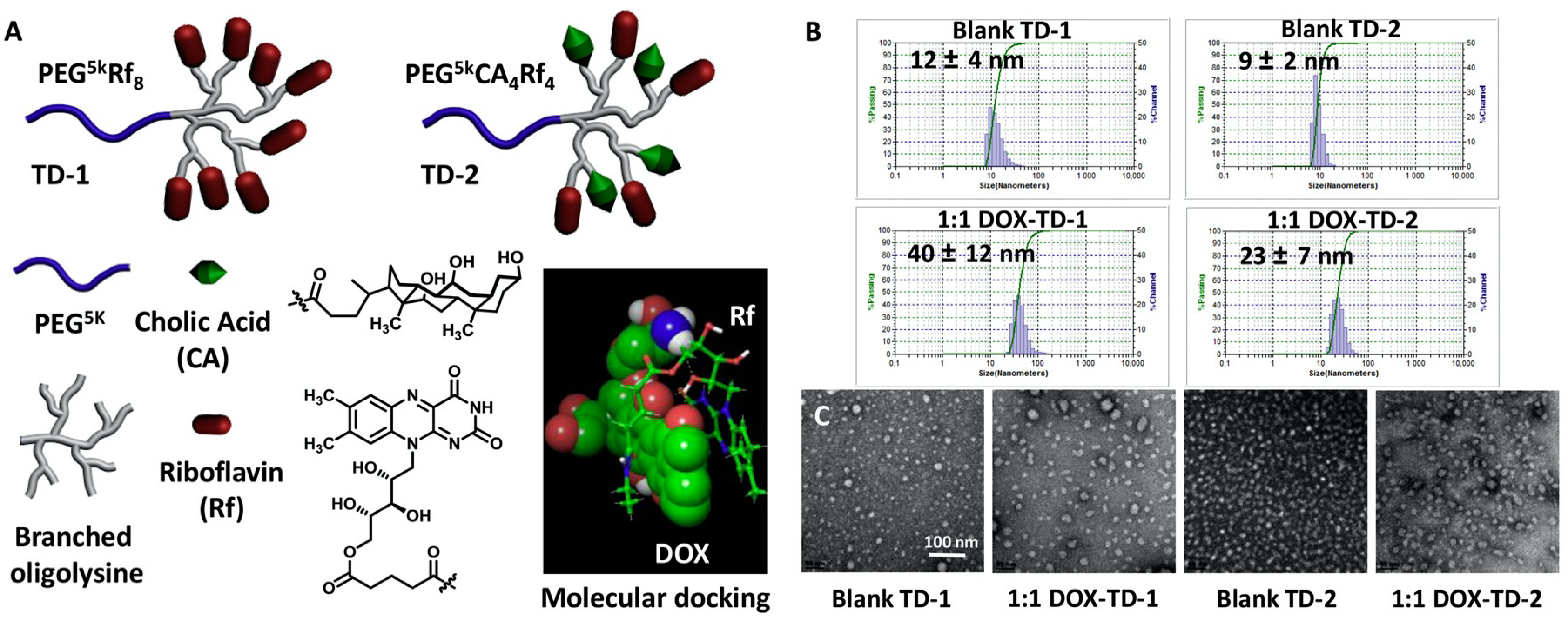 Molecules 25 03995 g007