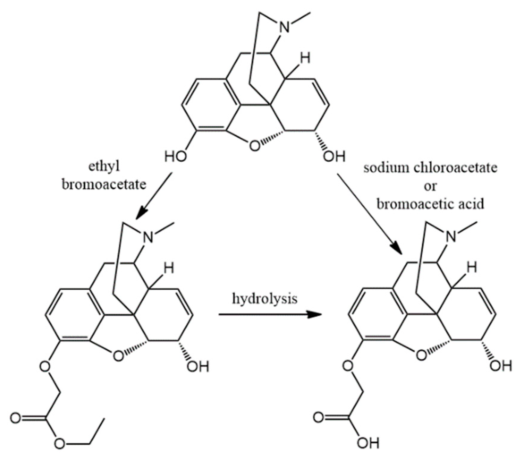 Molecules 25 04009 g001