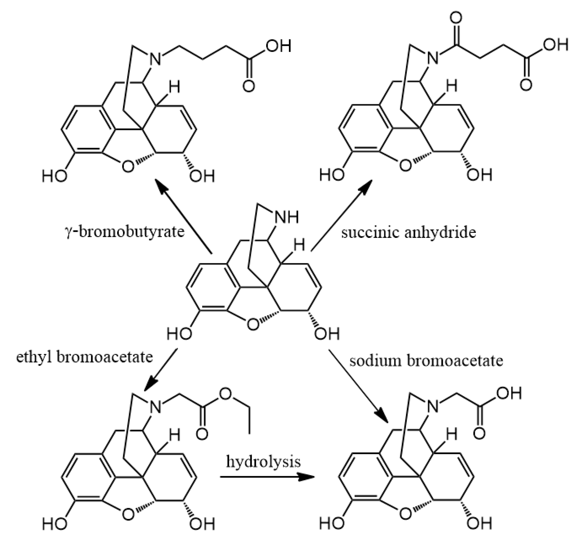 Molecules 25 04009 g005