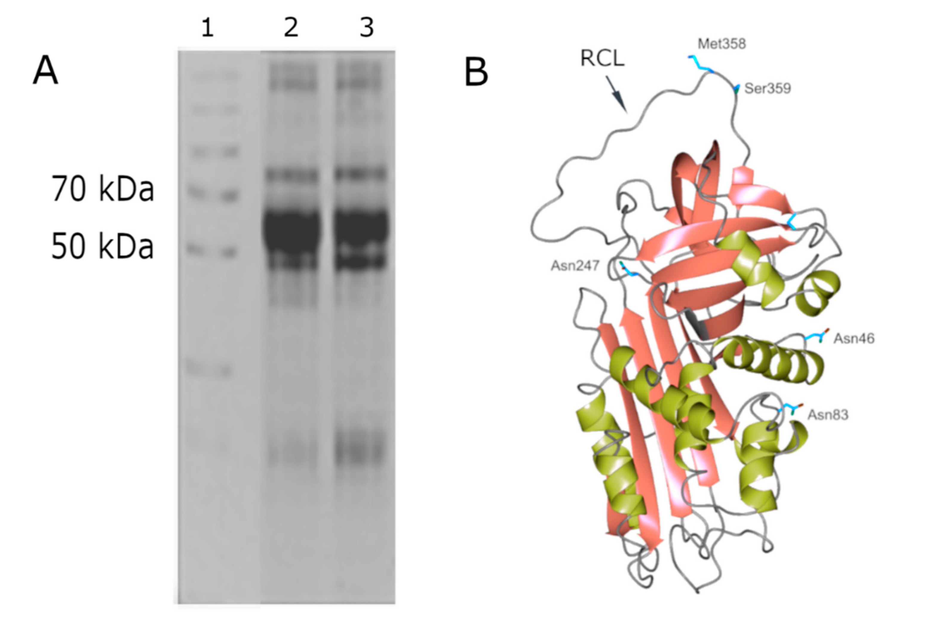 Molecules 25 04014 g001 Molecules 25 04014 g001