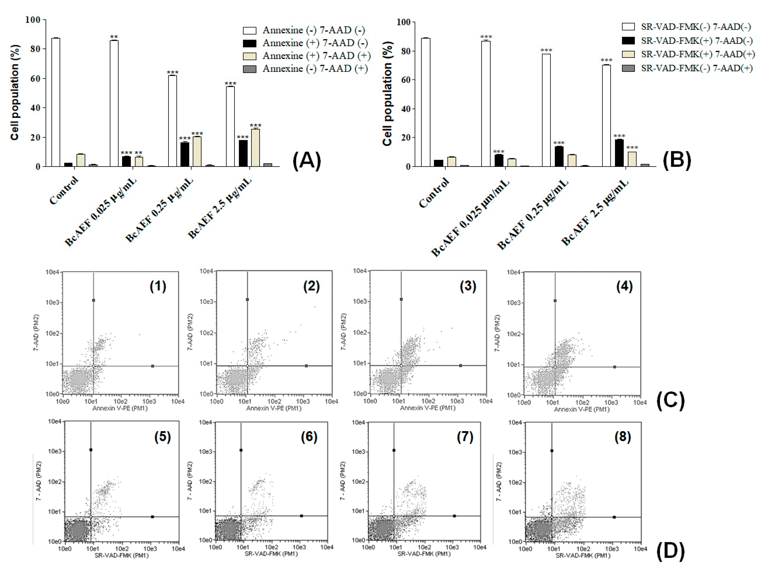 Molecules 25 04018 g004