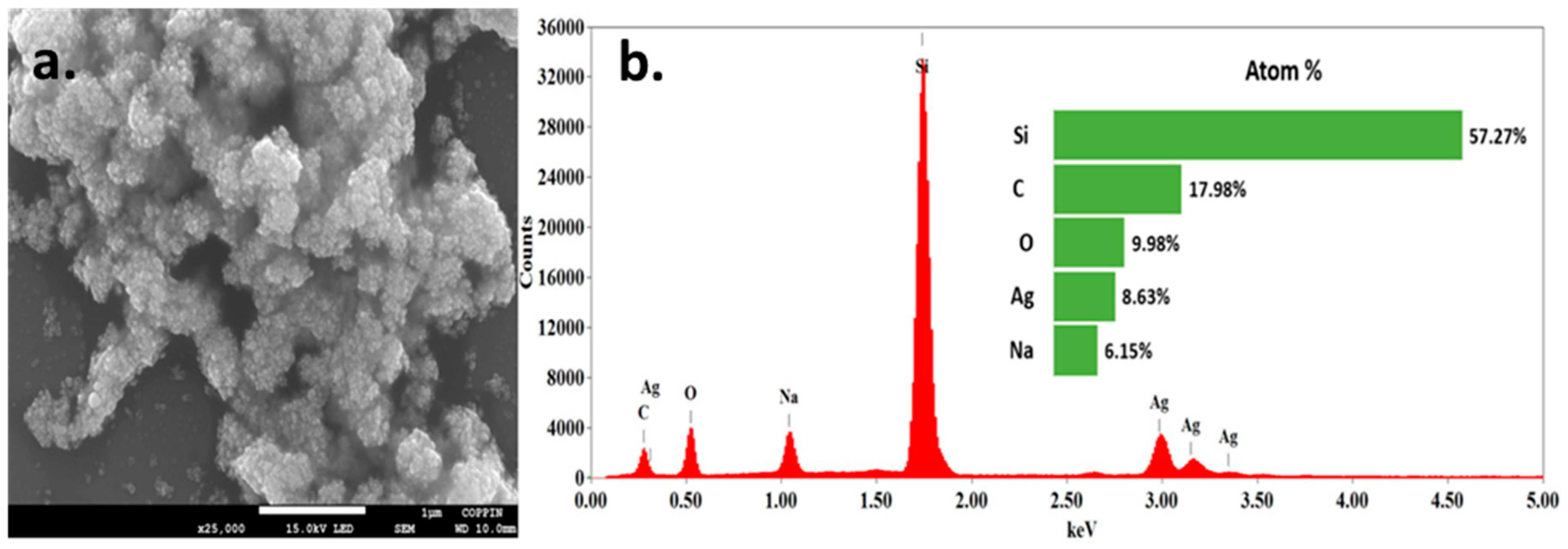 Molecules 25 04021 g003