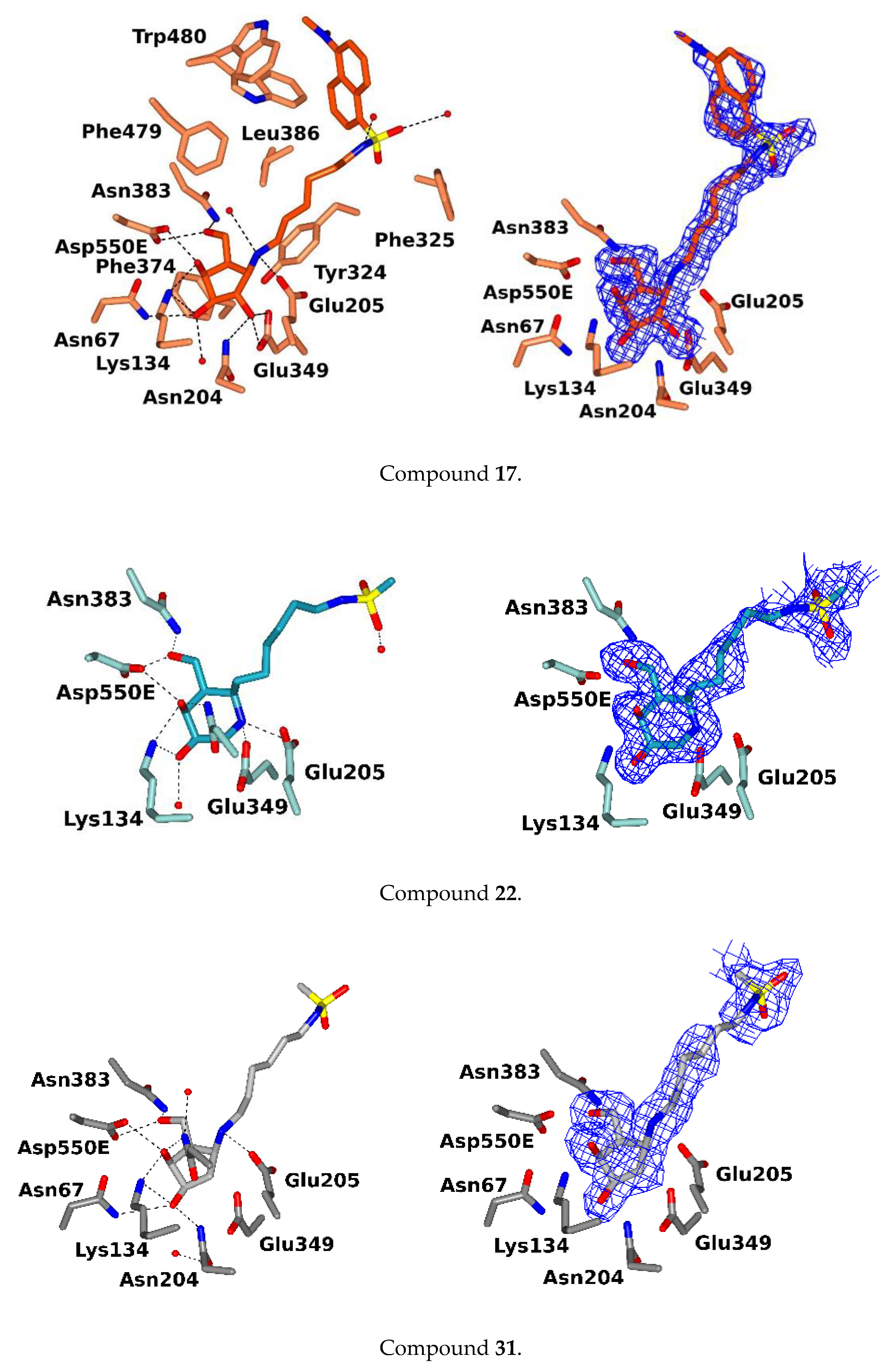 Molecules 25 04025 g005b
