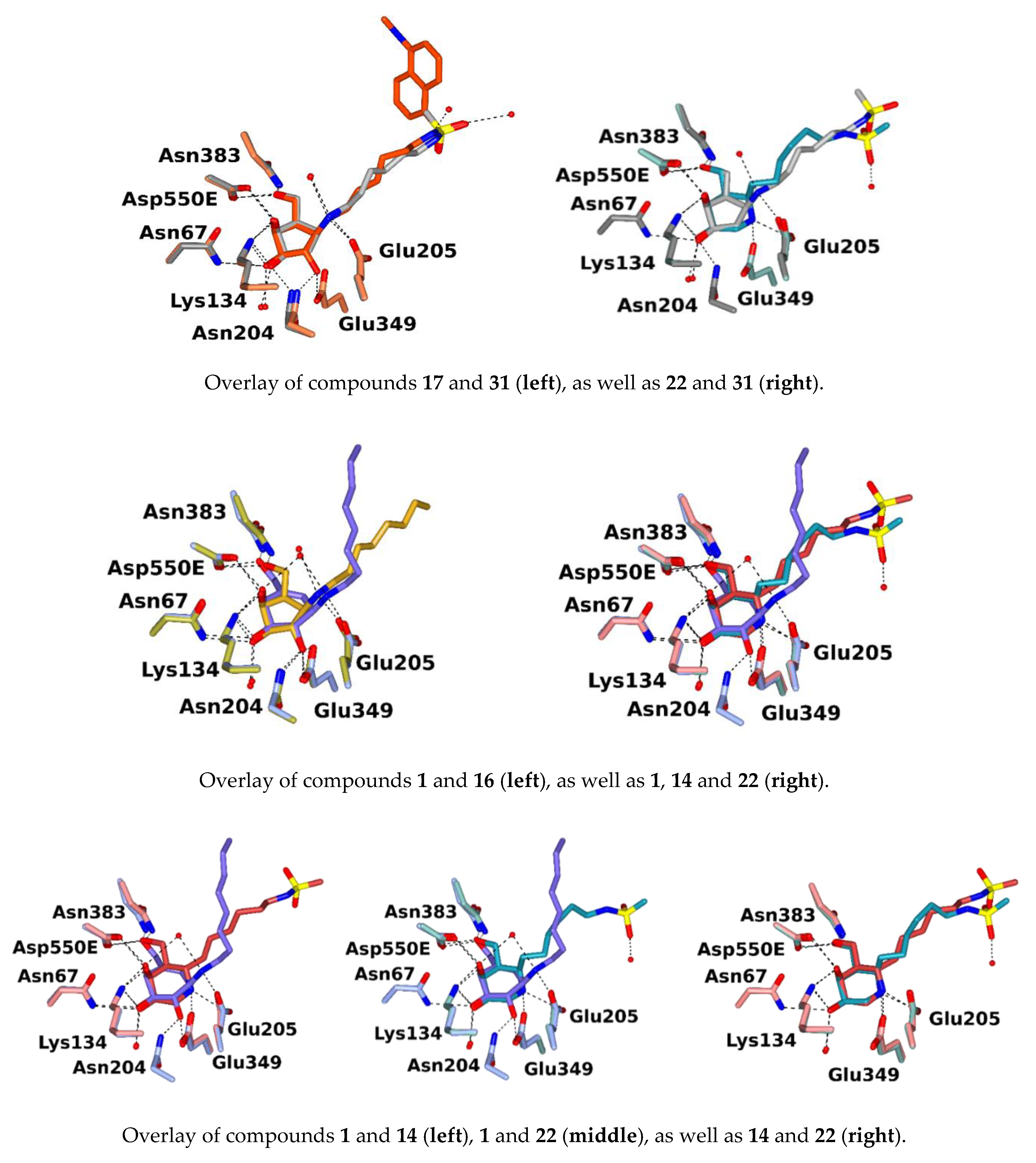 Molecules 25 04025 g006