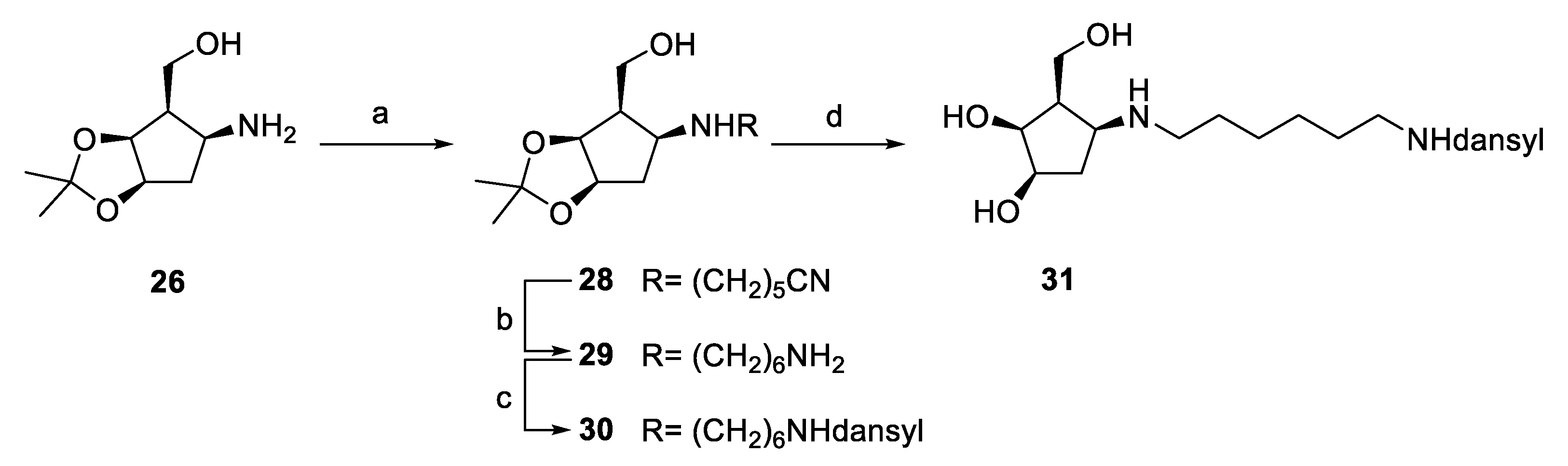Molecules 25 04025 sch003