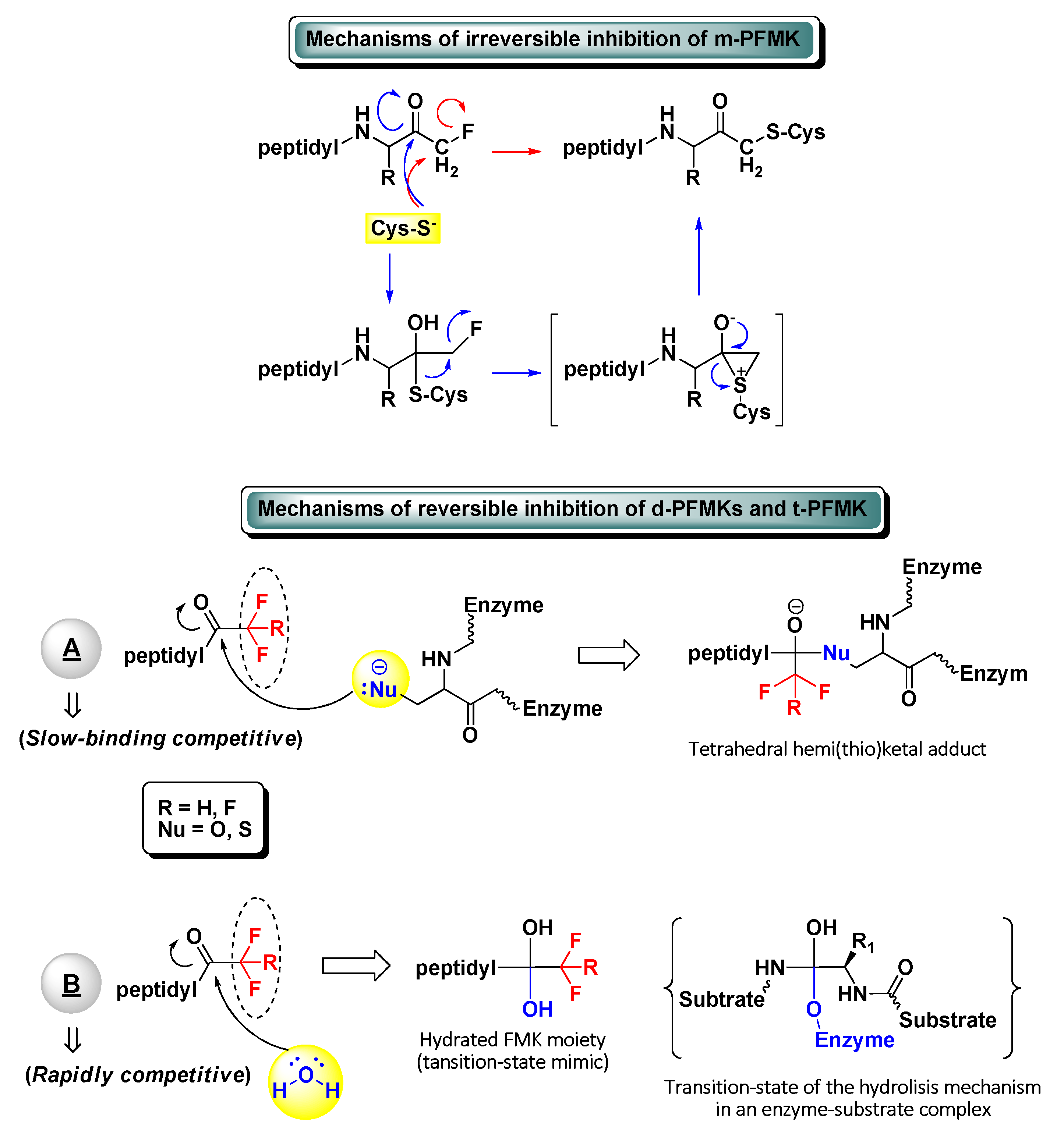 Molecules 25 04031 g001