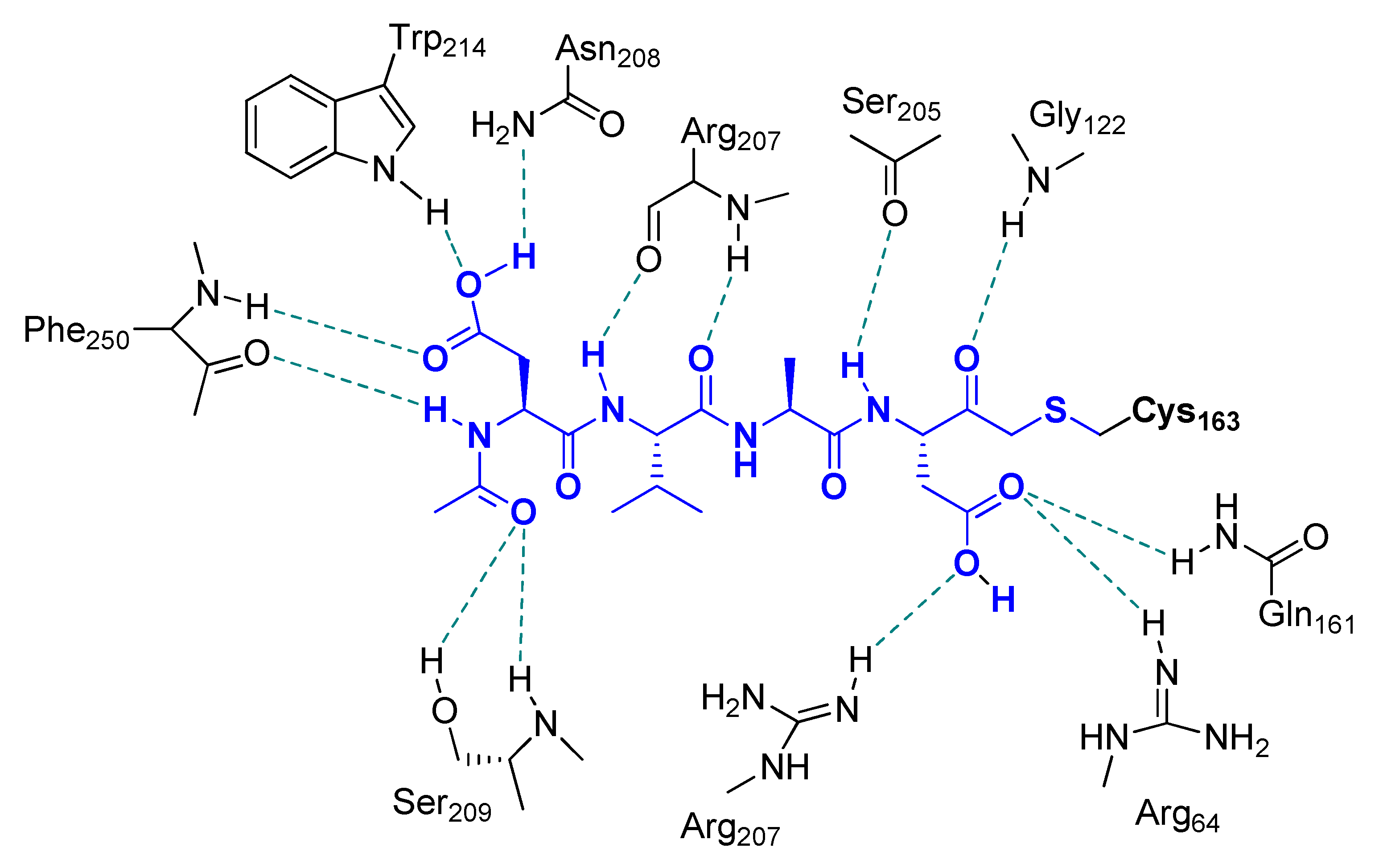 Molecules 25 04031 g004