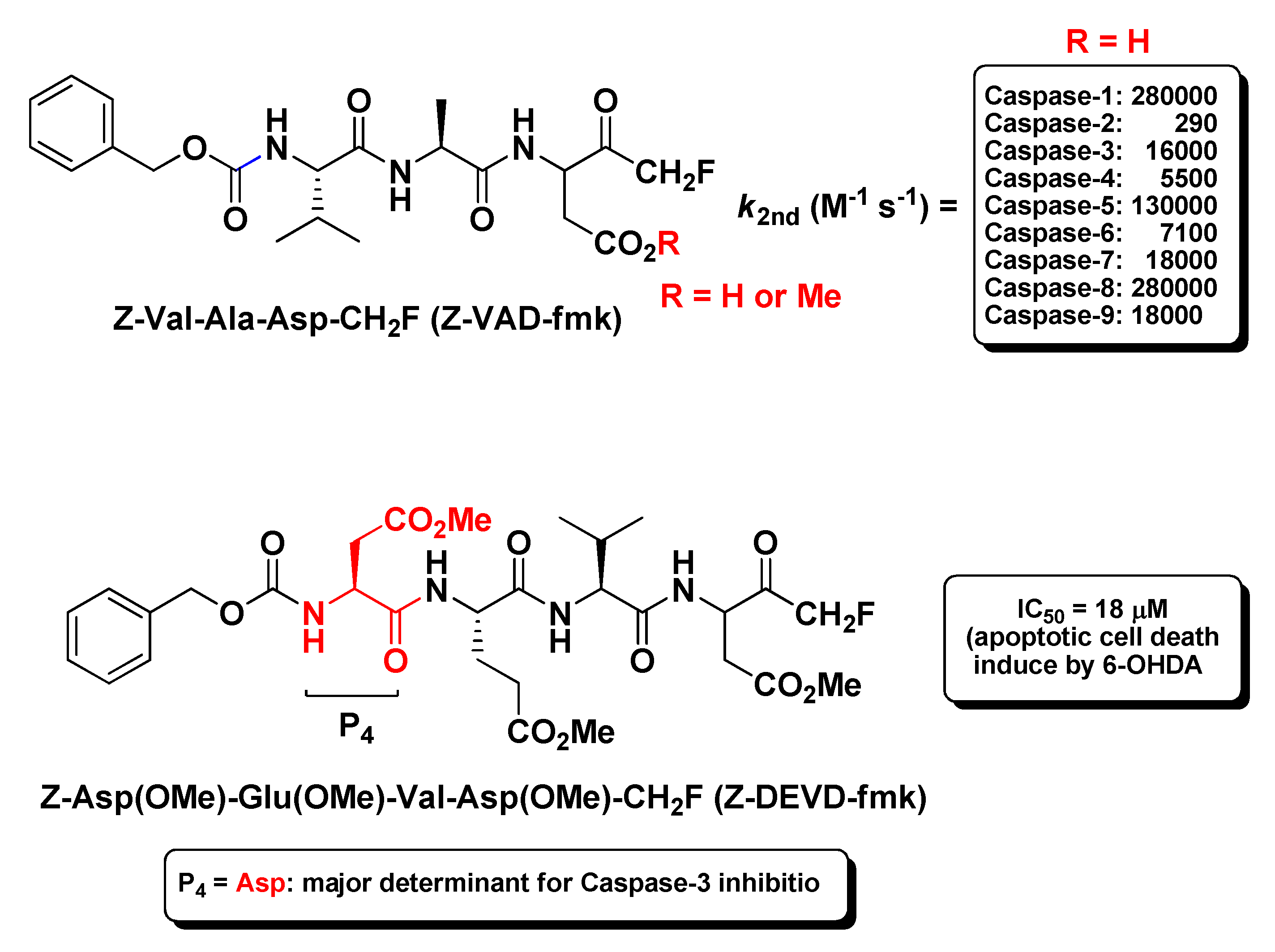 Molecules 25 04031 g005