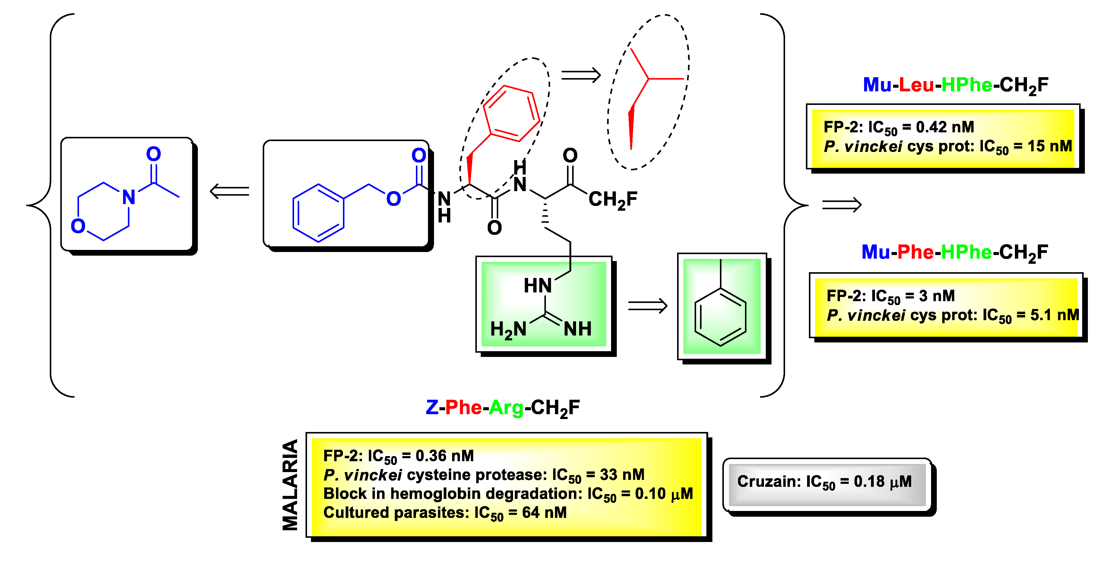 Molecules 25 04031 g008