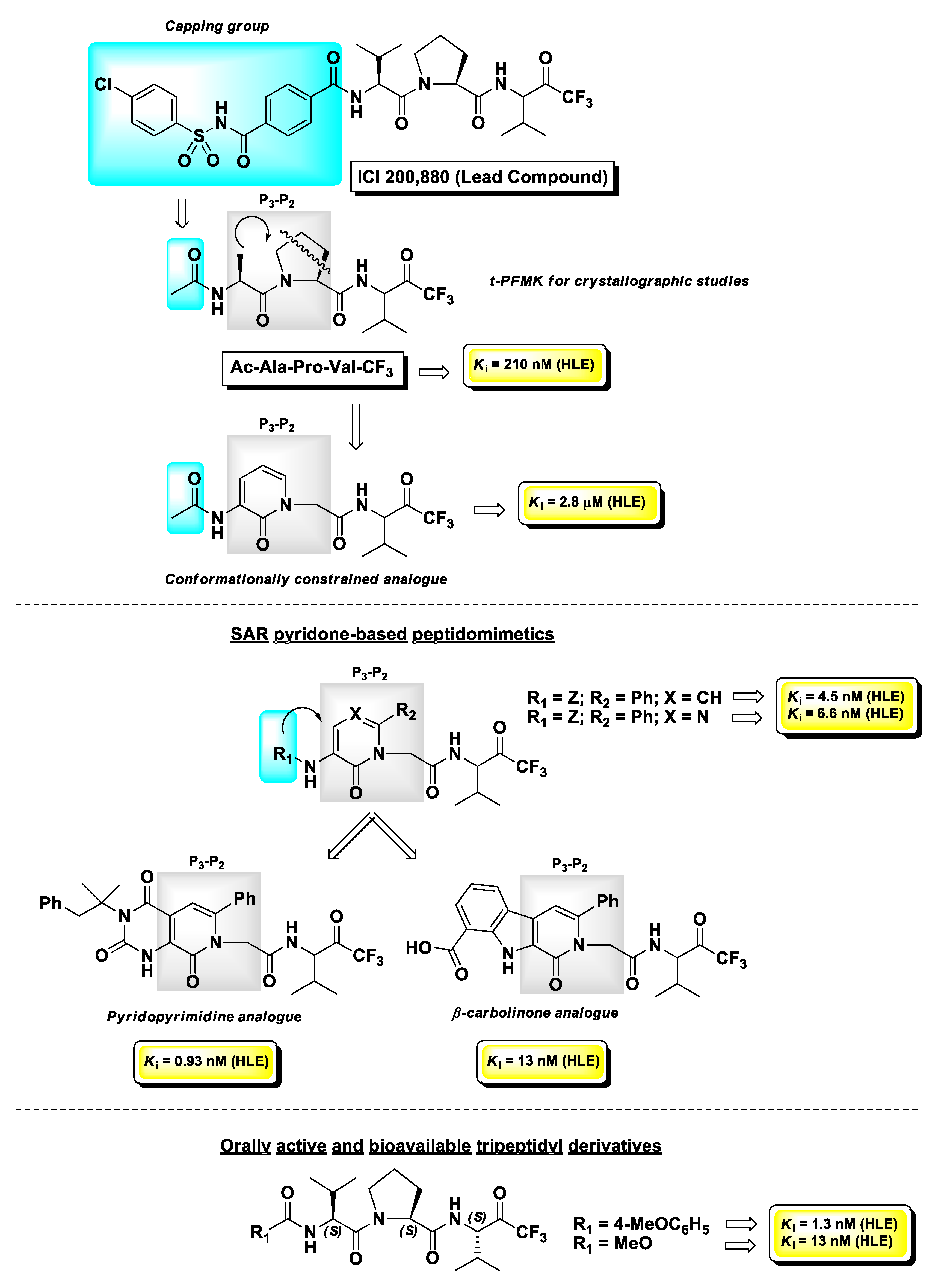 Molecules 25 04031 g013