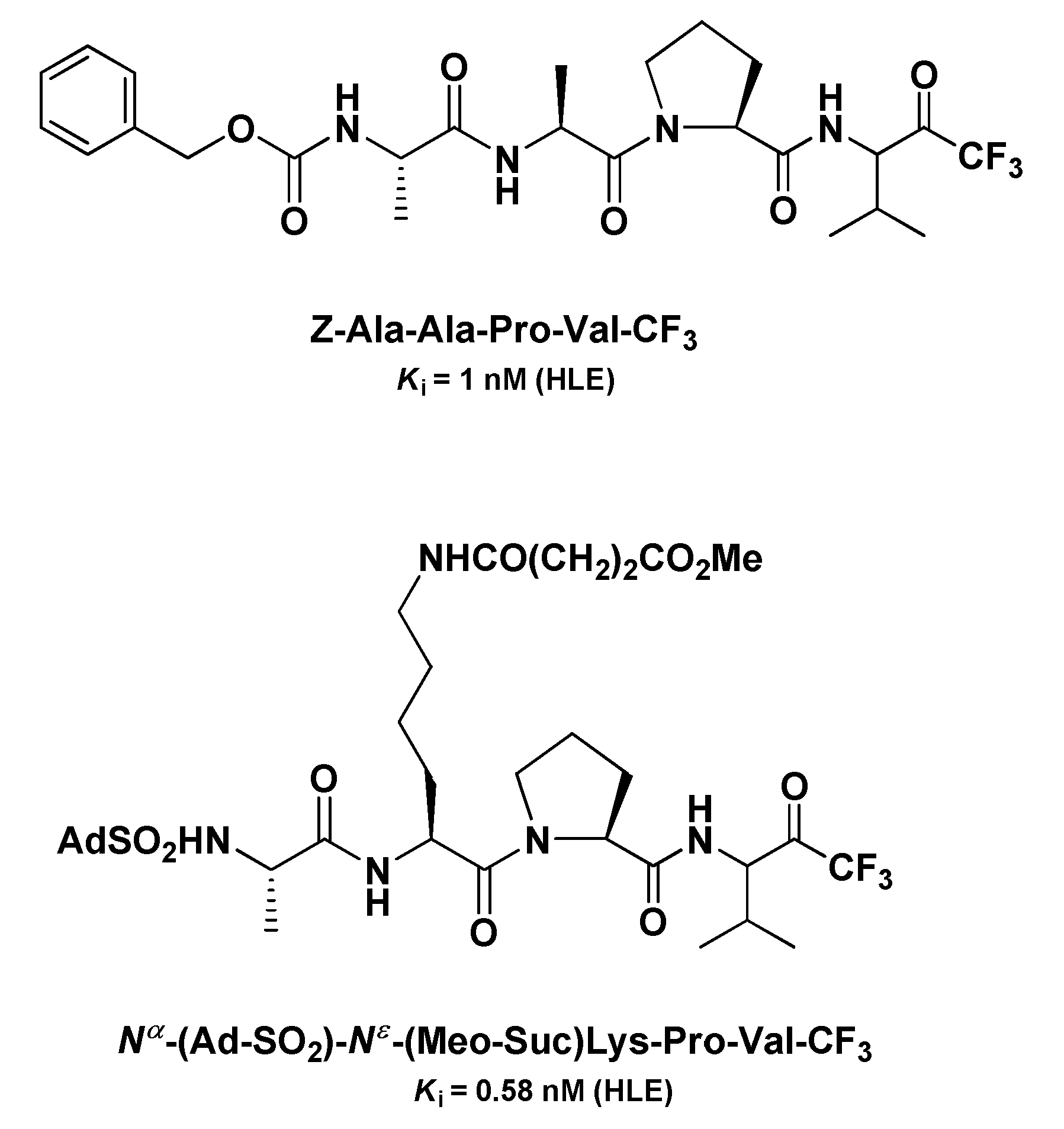 Molecules 25 04031 g015