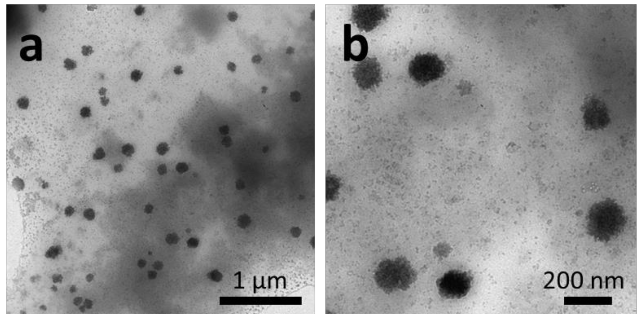 Molecules 25 04033 g002