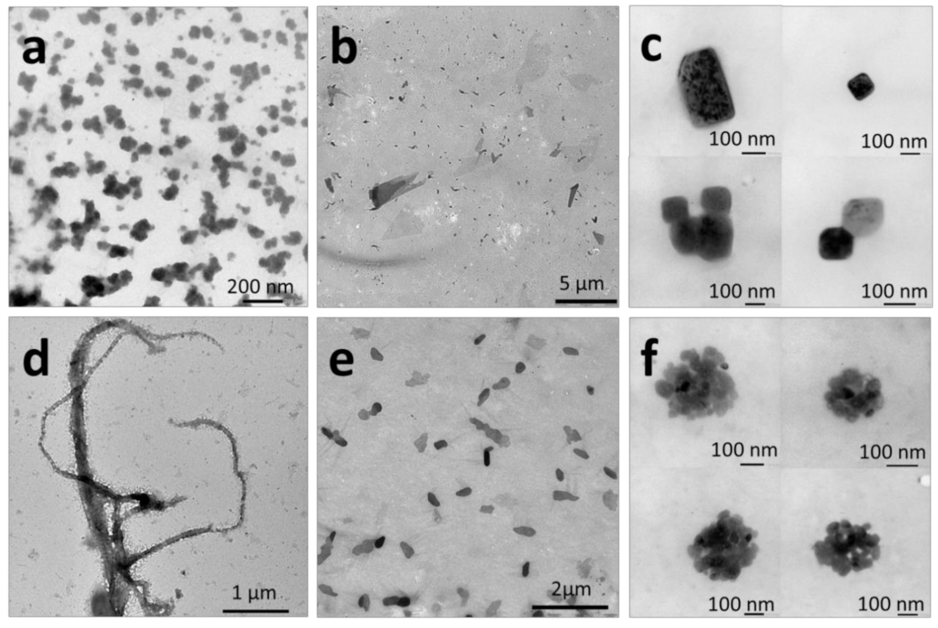 Molecules 25 04033 g004