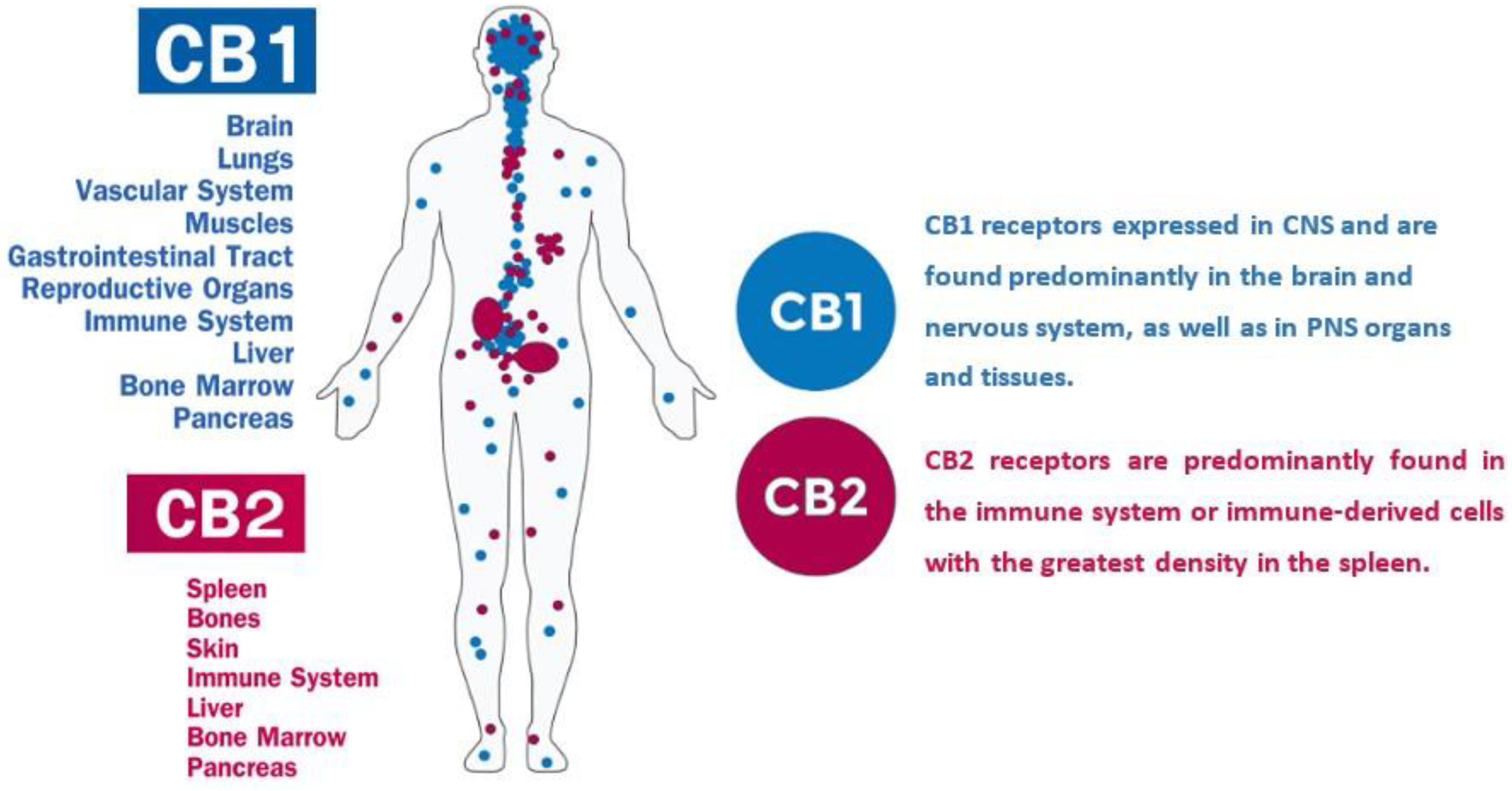 Molecules 25 04036 g002