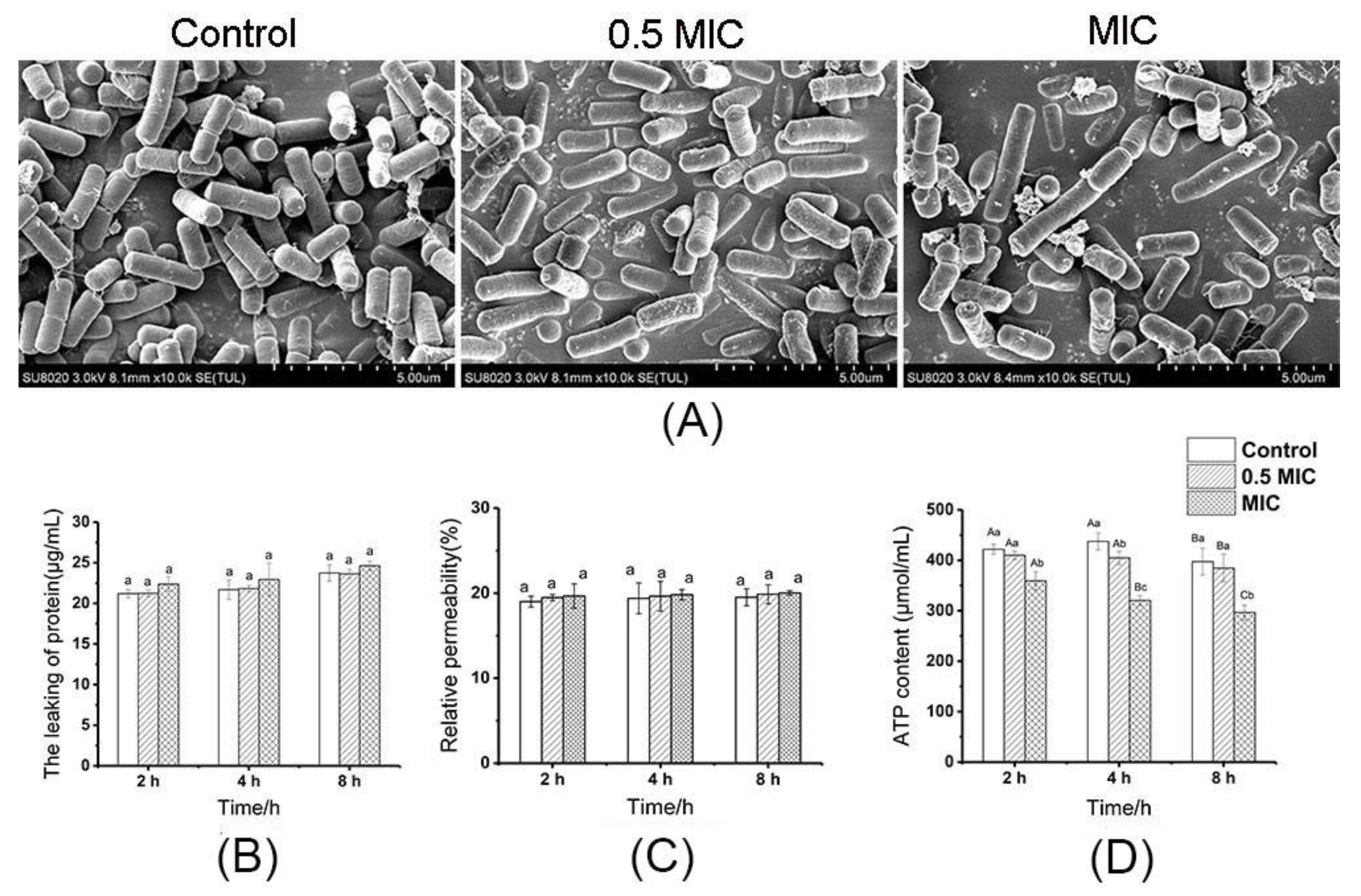 Molecules 25 04038 g001