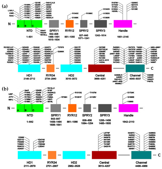 Molecules 25 04040 g001