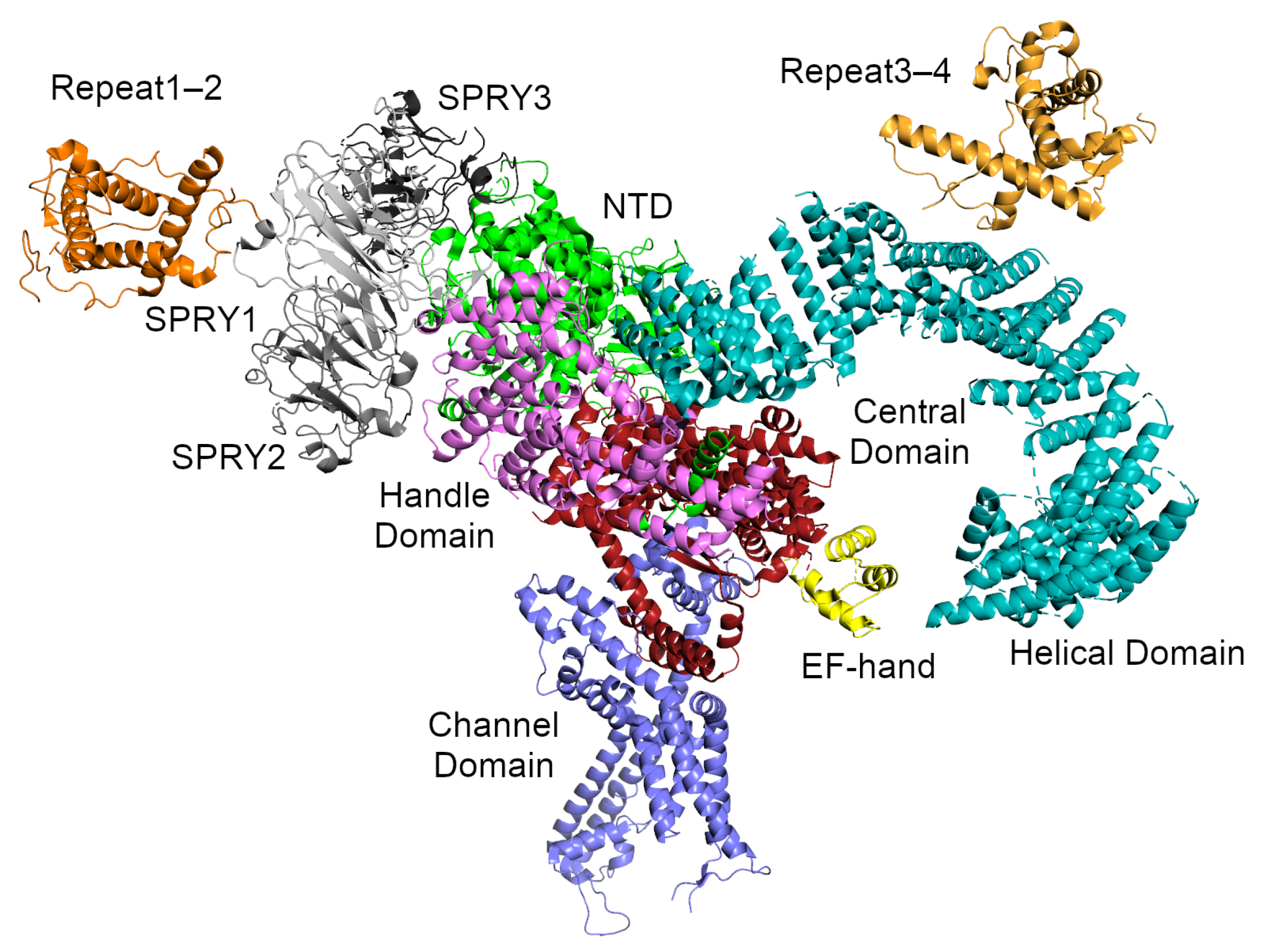 Molecules 25 04040 g003 Molecules 25 04040 g003