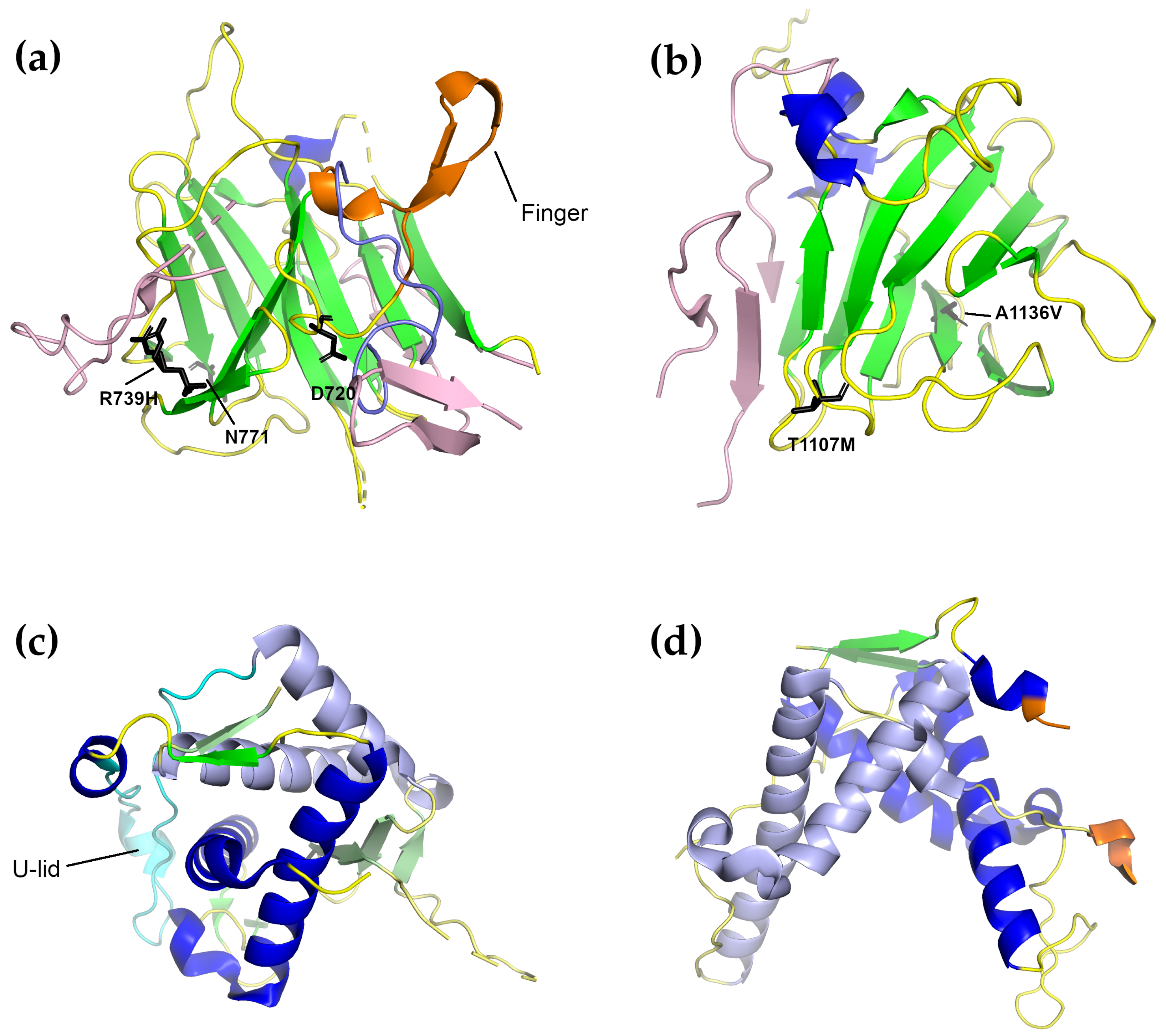Molecules 25 04040 g006 Molecules 25 04040 g006