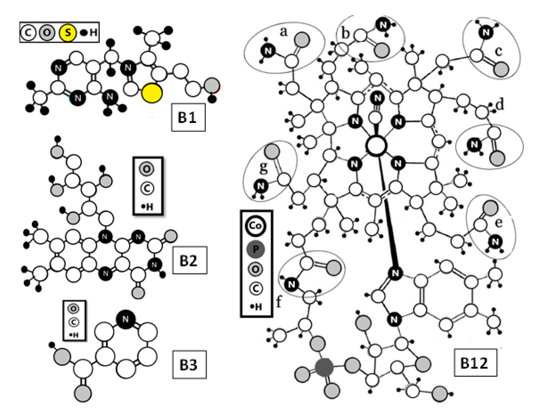 Molecules 25 04041 g003 Molecules 25 04041 g003