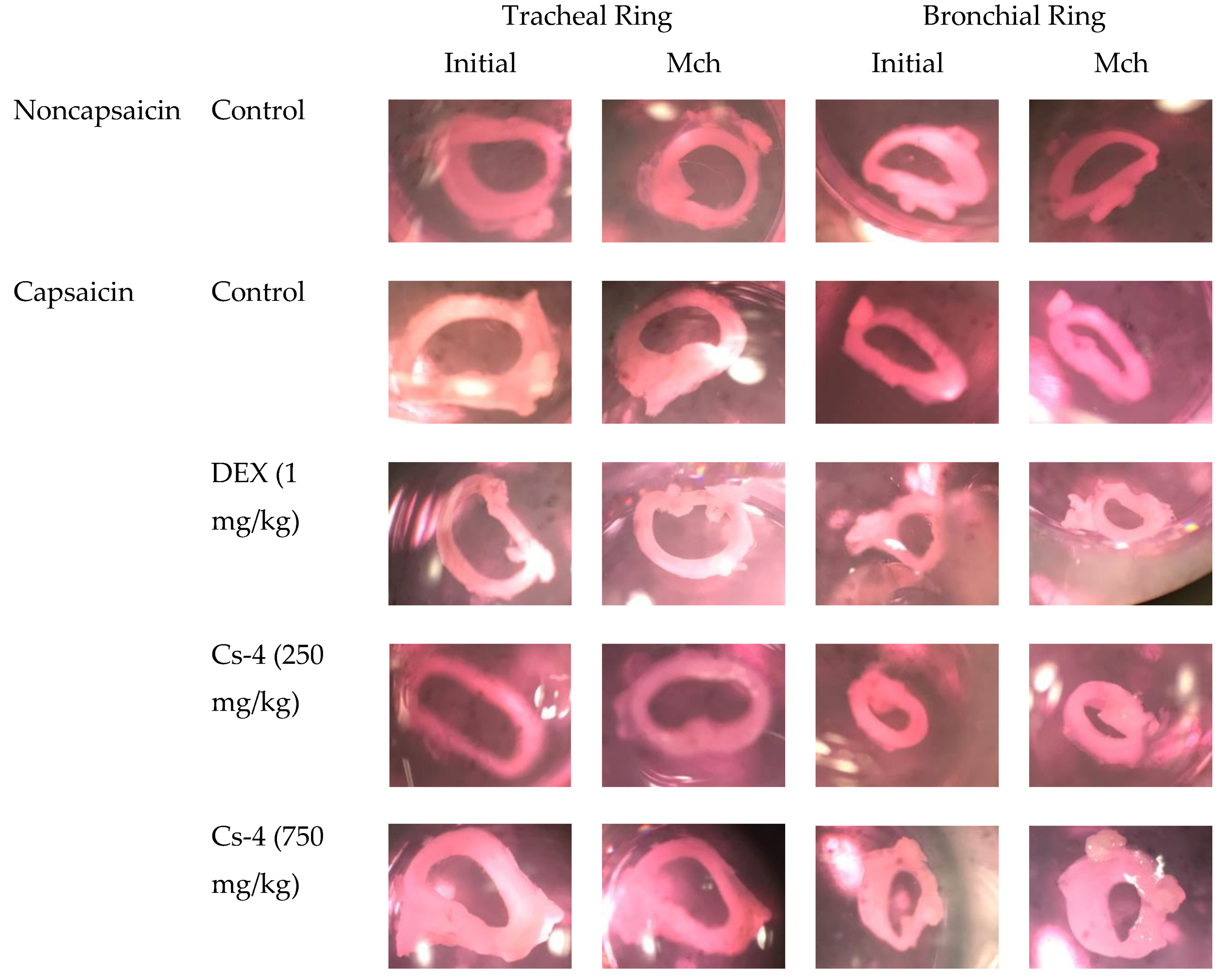 Molecules 25 04051 g006