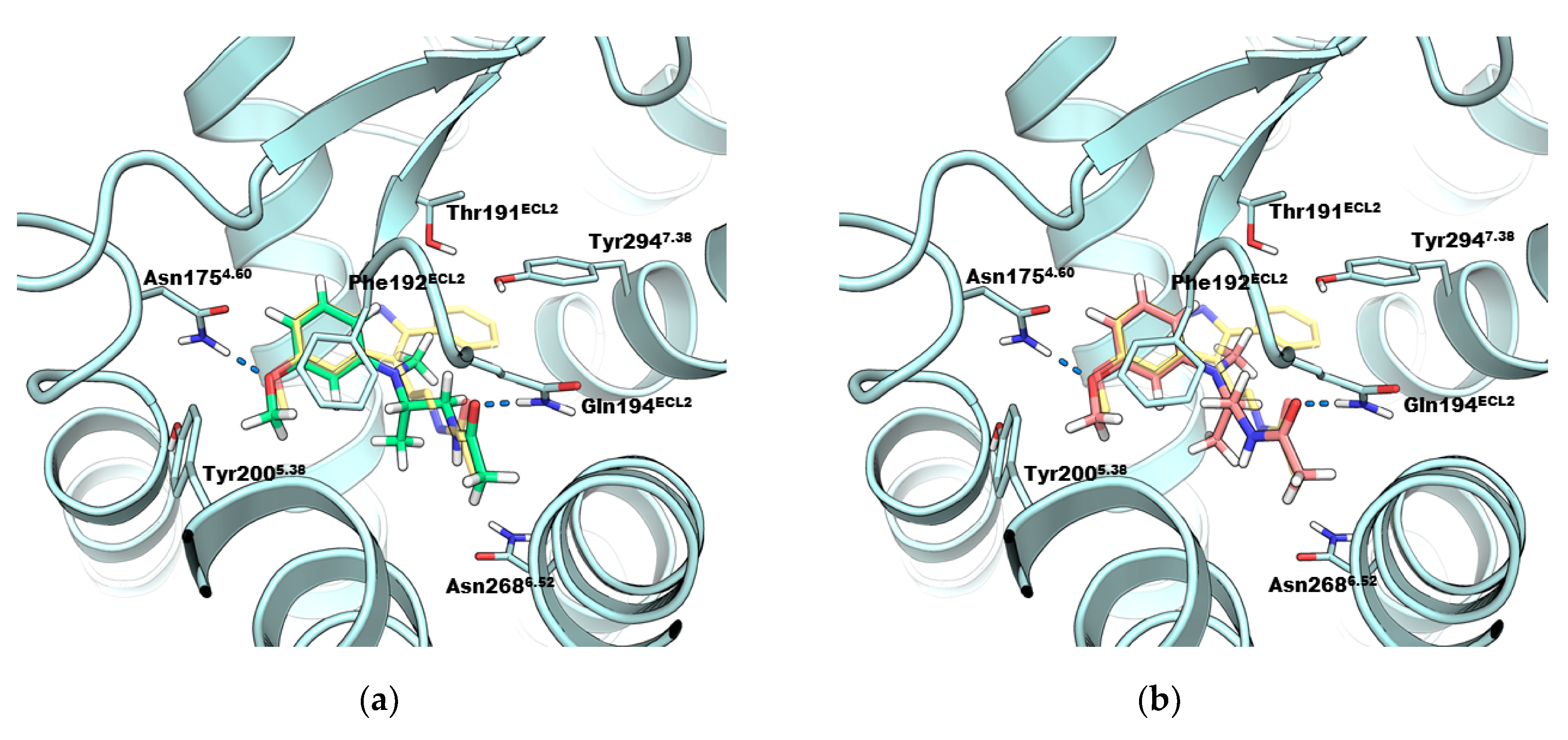 Molecules 25 04057 g002