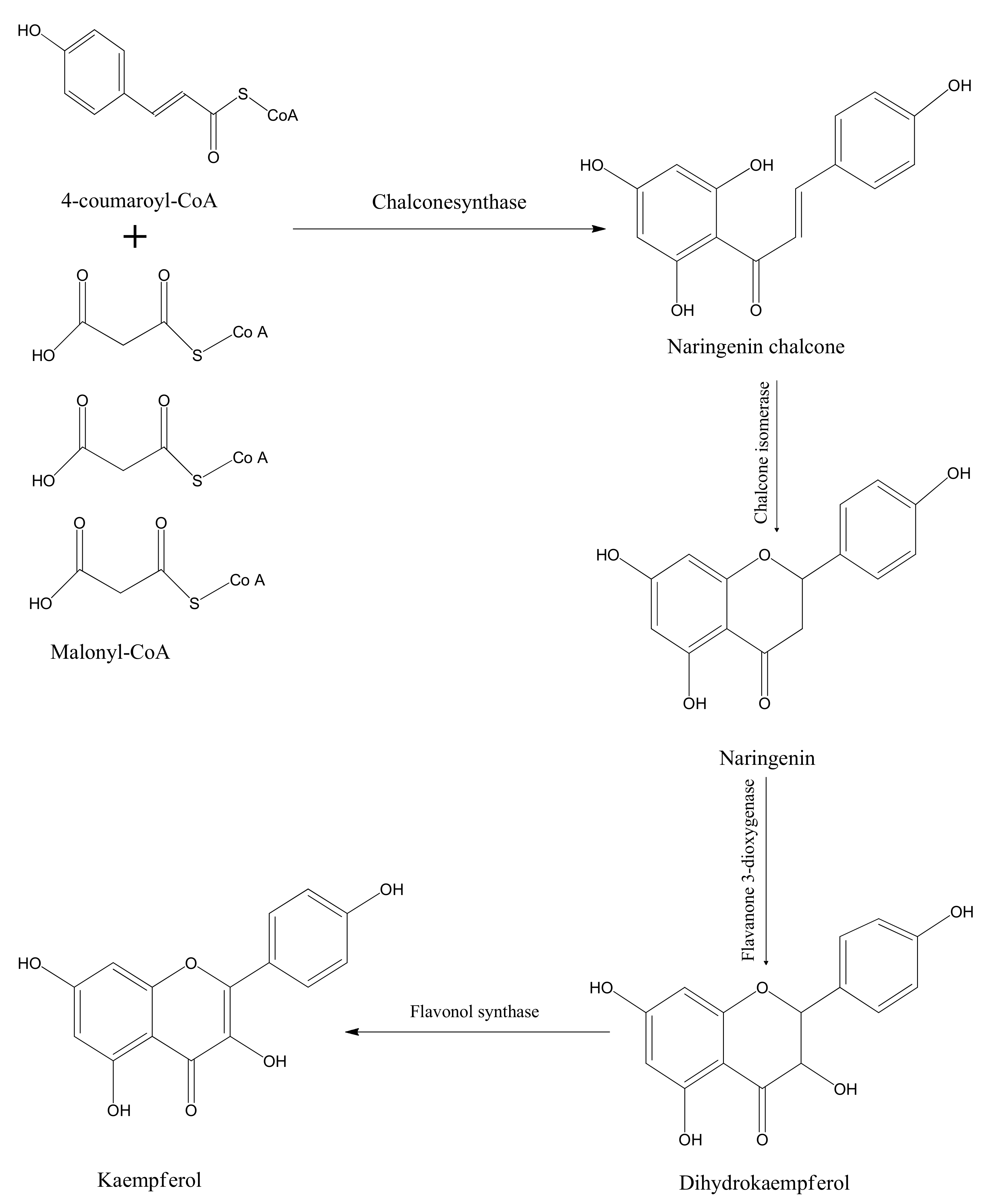 Molecules 25 04073 g002