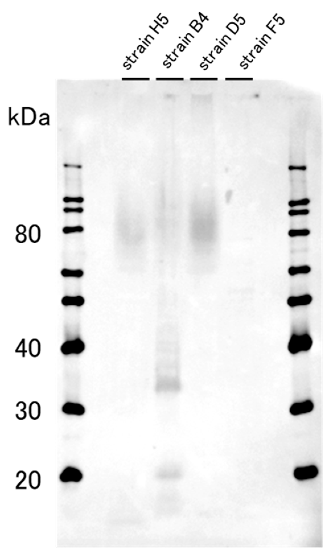Molecules 25 04084 g001 Molecules 25 04084 g001