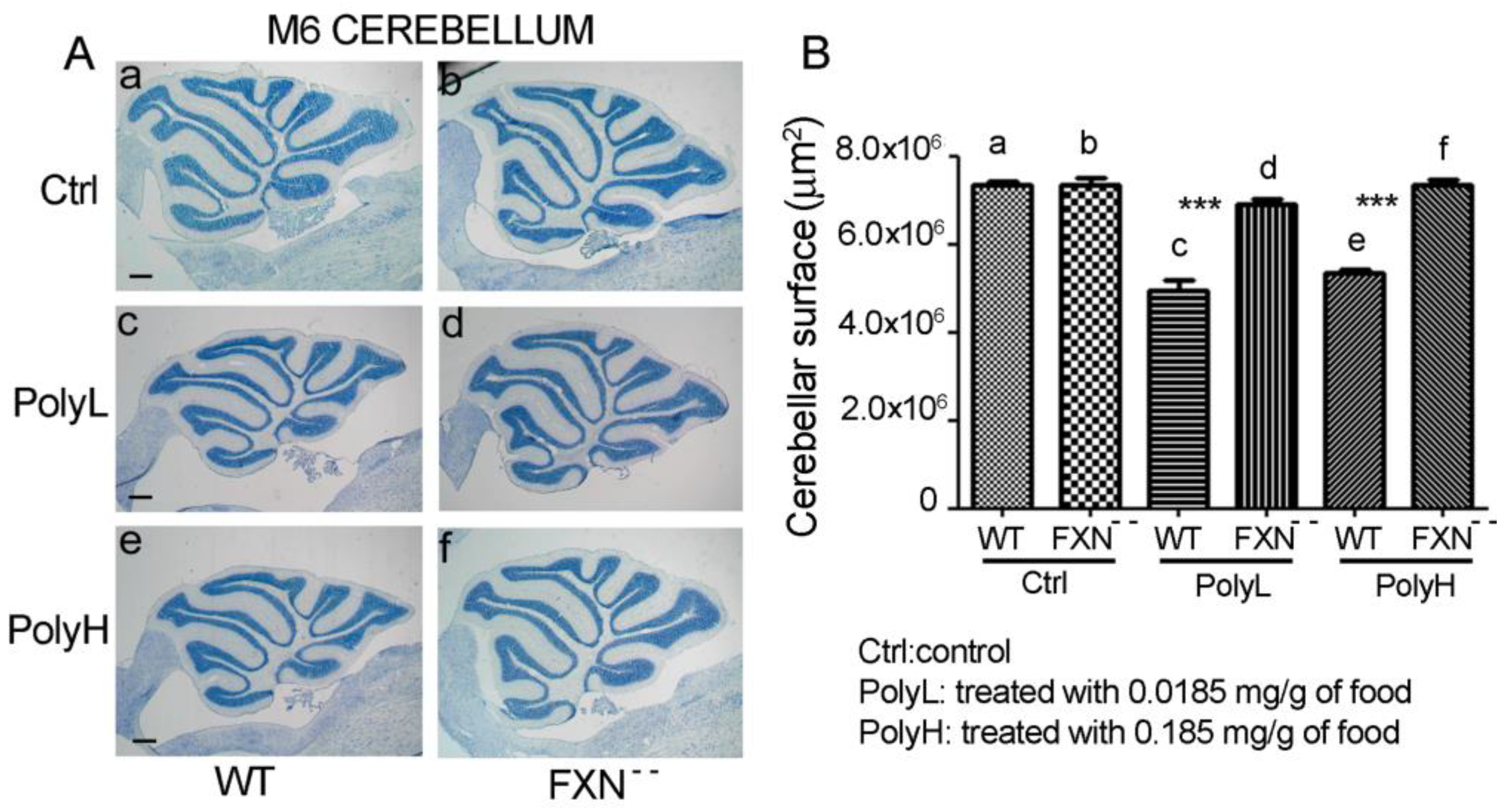 Molecules 25 04085 g001